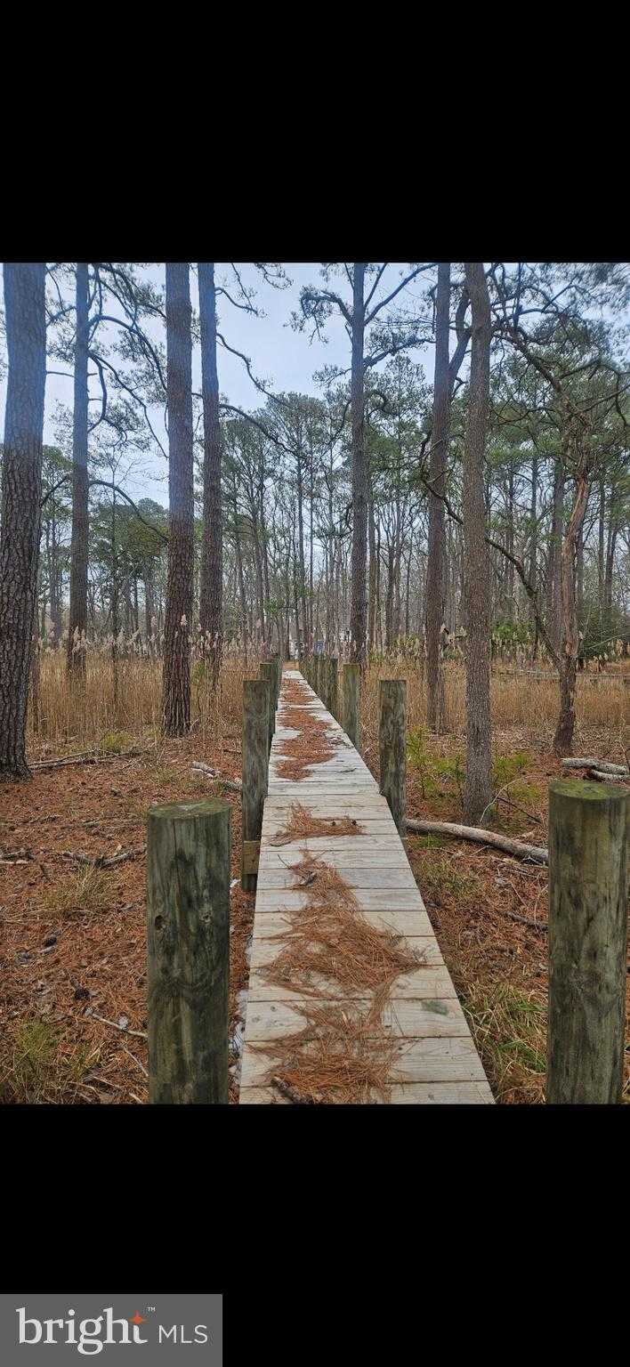 Newport Bay Dr photo 4