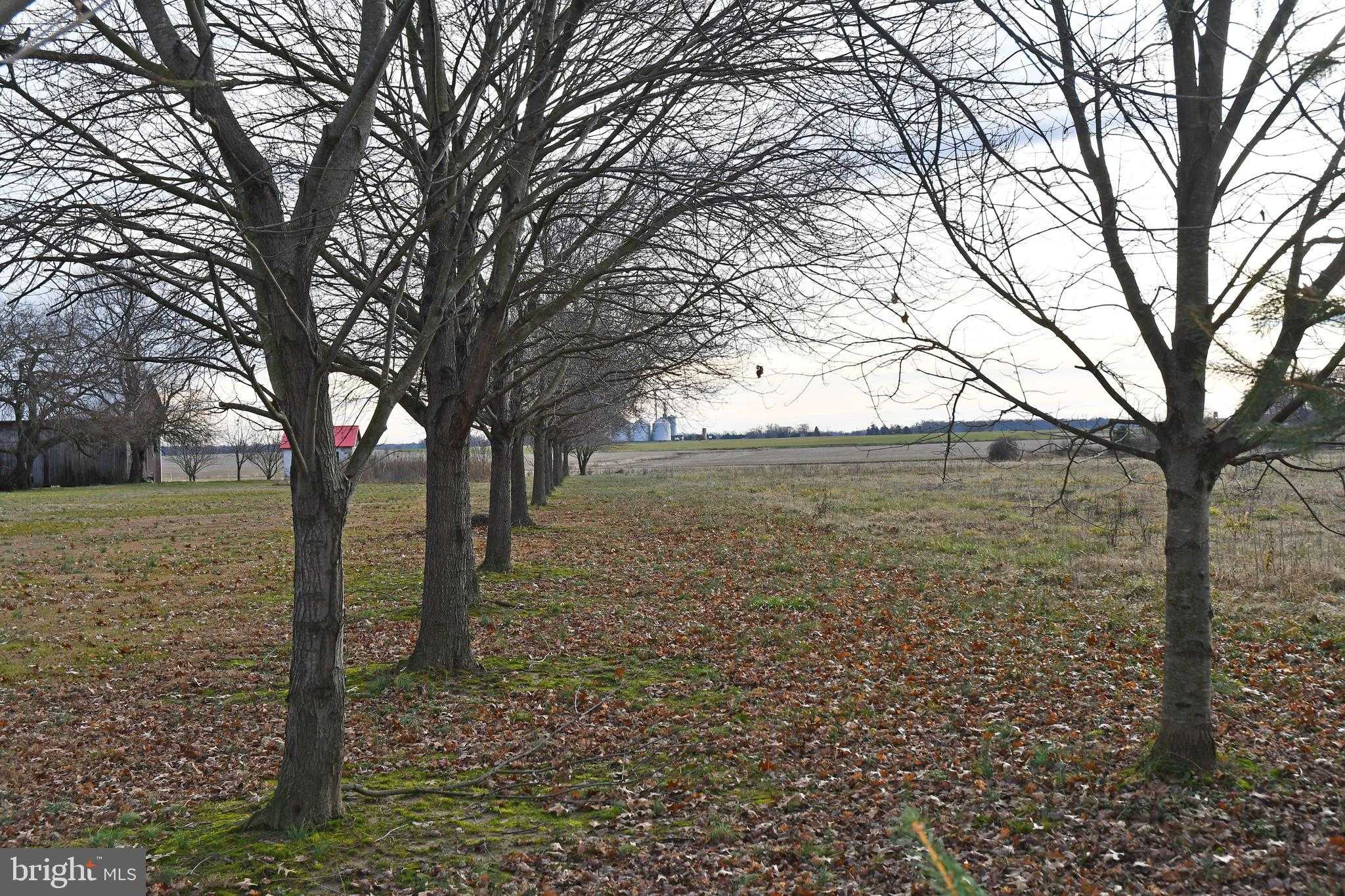 N Bohemia Ave photo 2