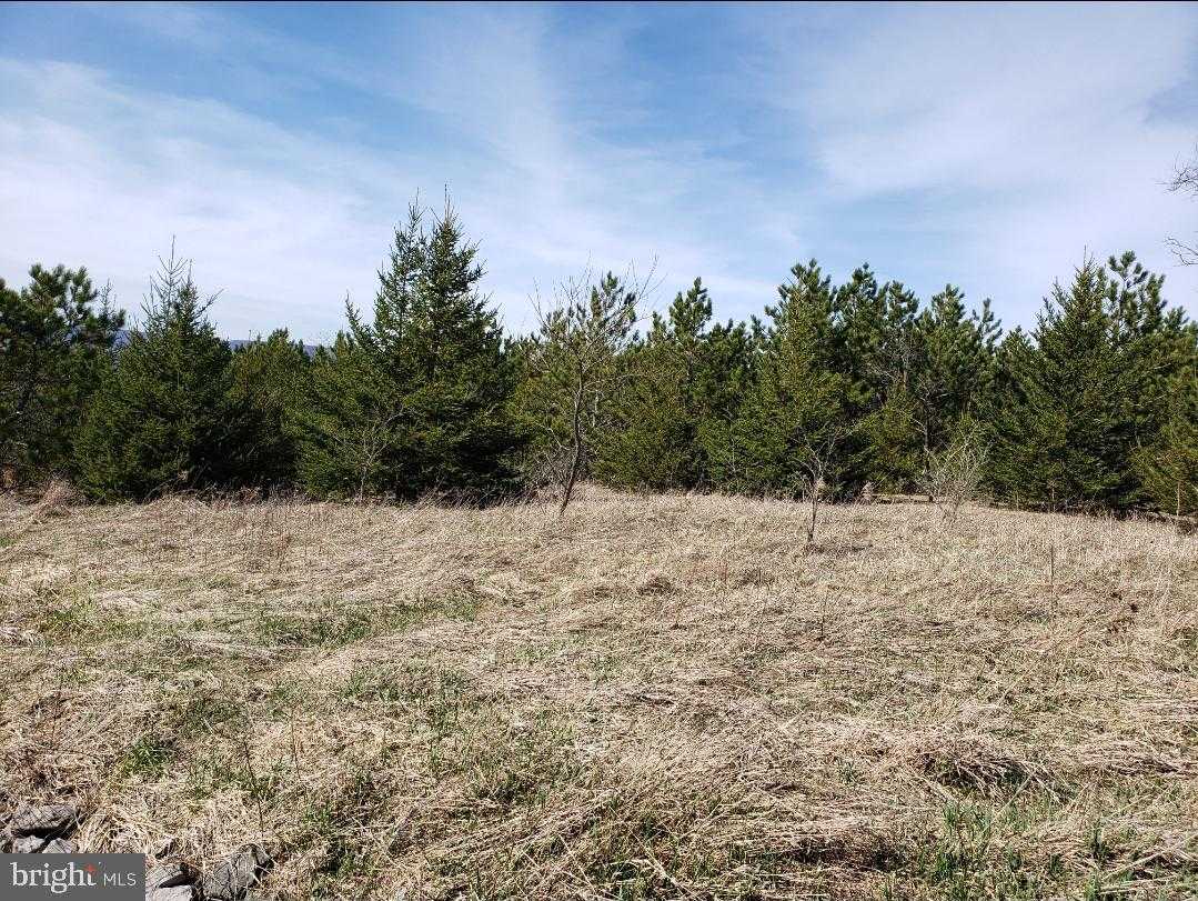 12223 Summit Cir photo 6