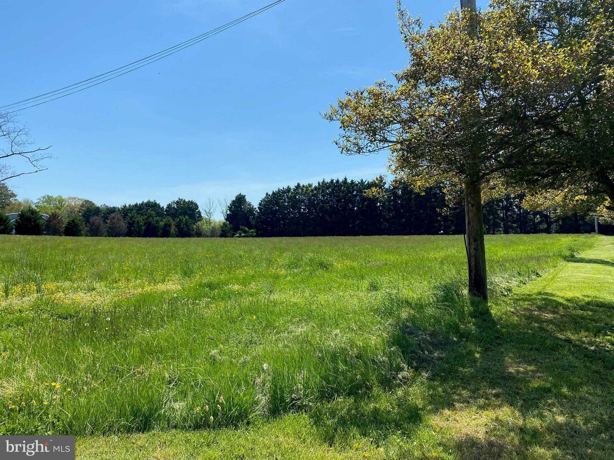 11108 Ruths Ln photo 4