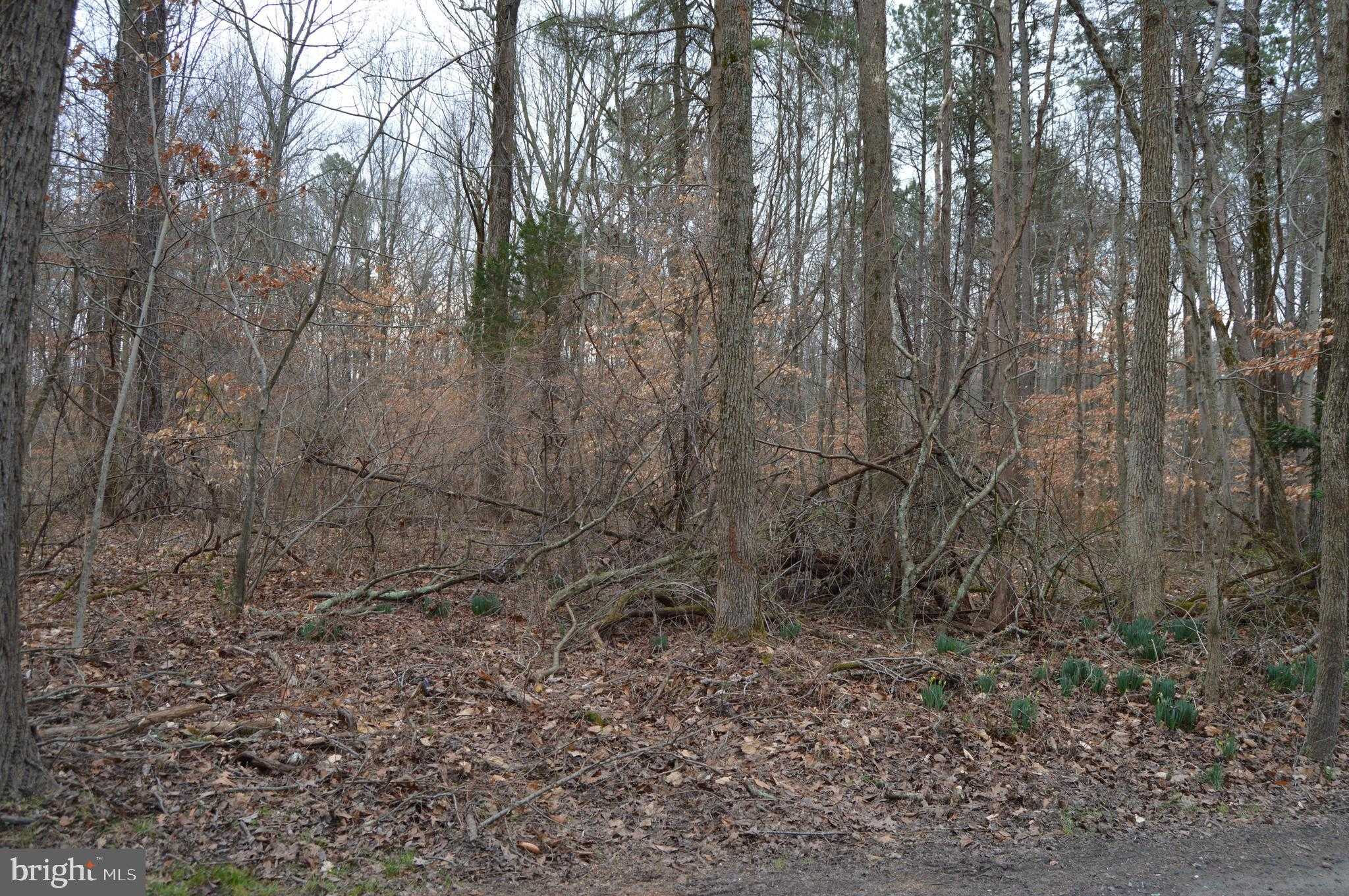 Queen Anne Cir photo 3