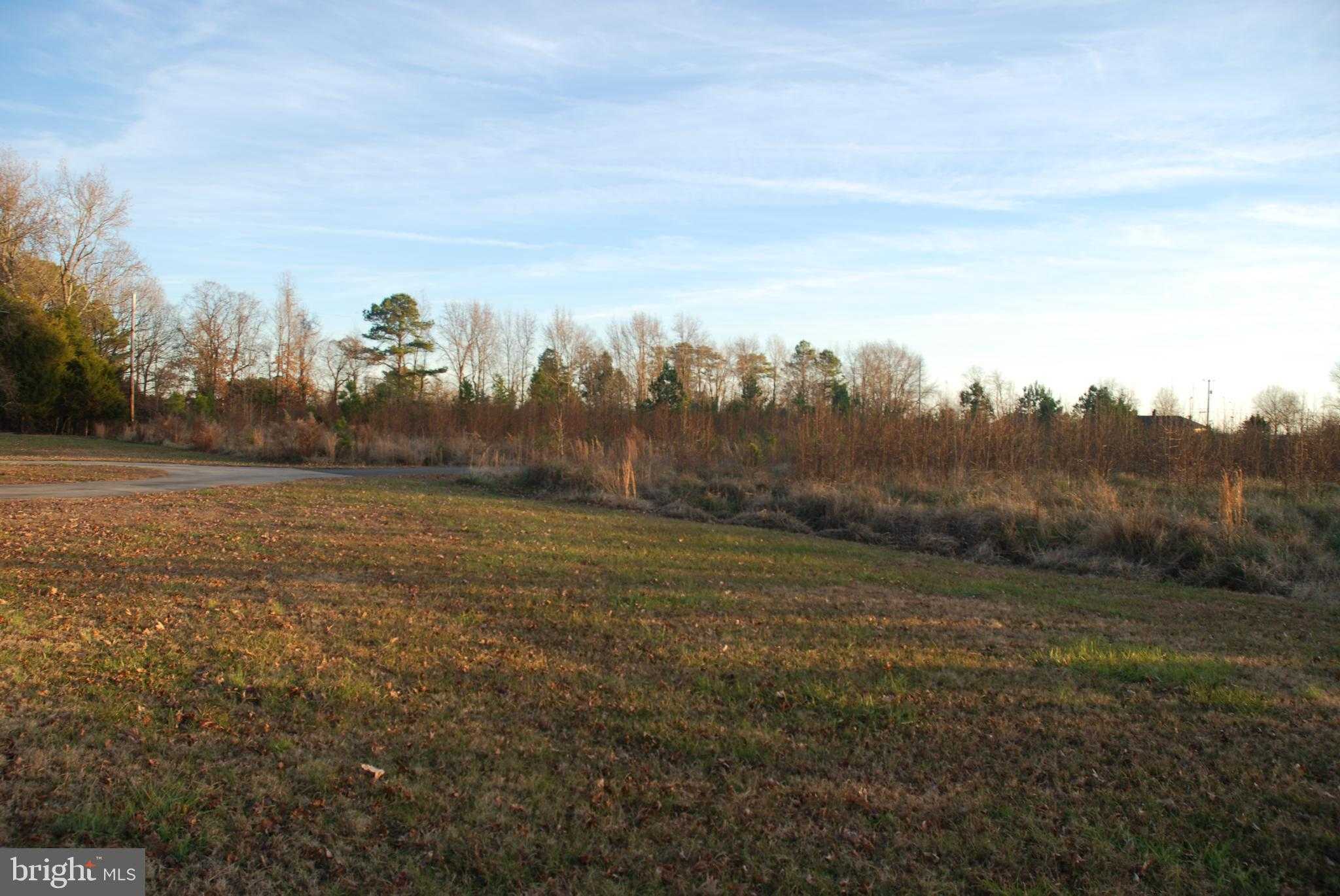 42520 Riverwinds Dr photo 3