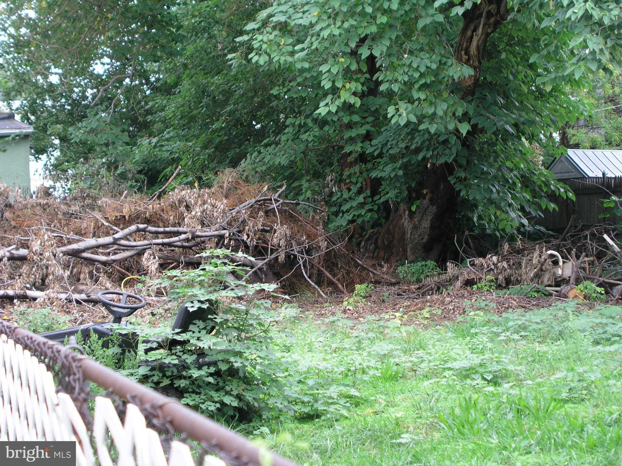 4352 Pearce St photo 2