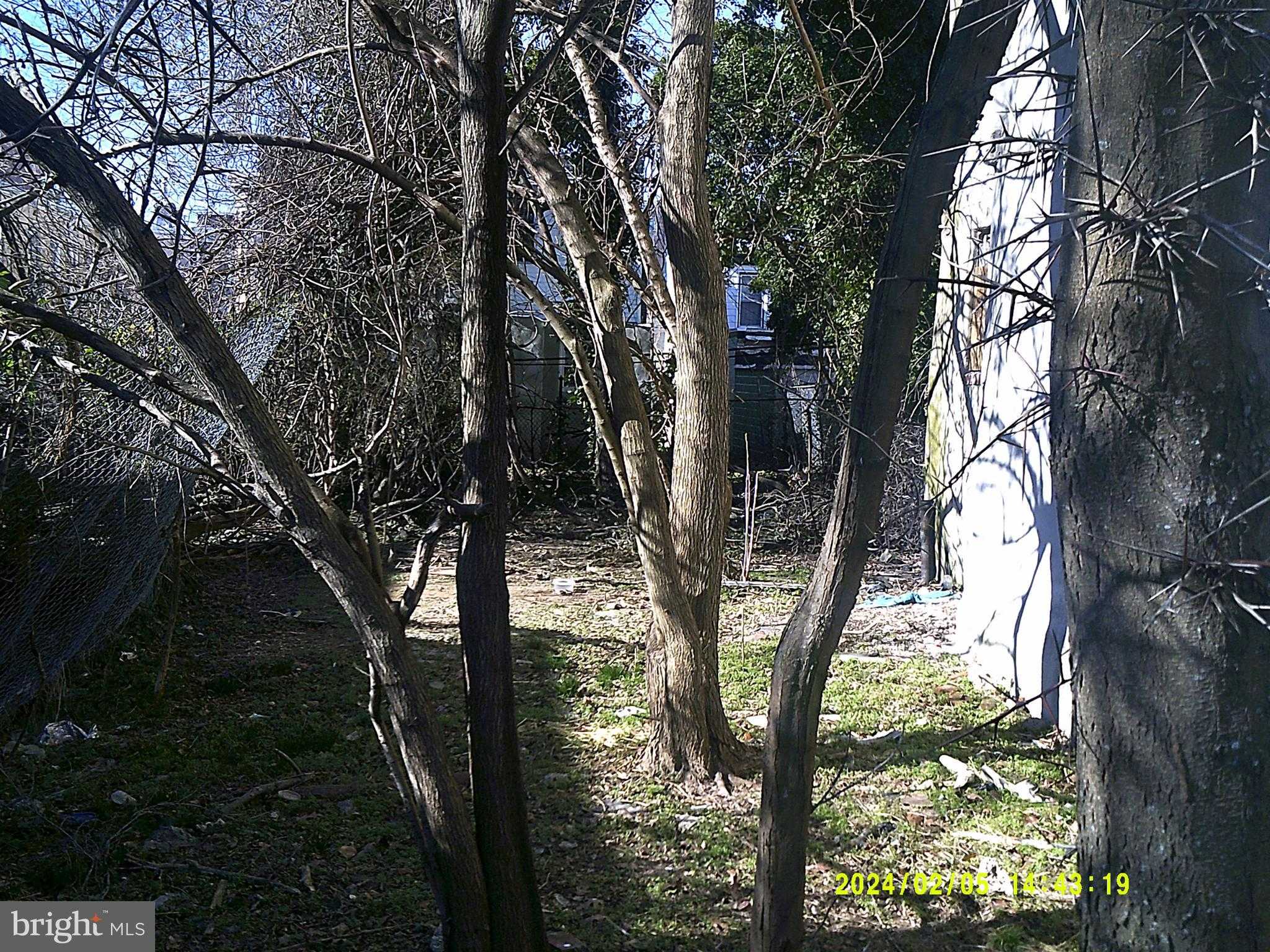 3440 N Sydenham St photo 3