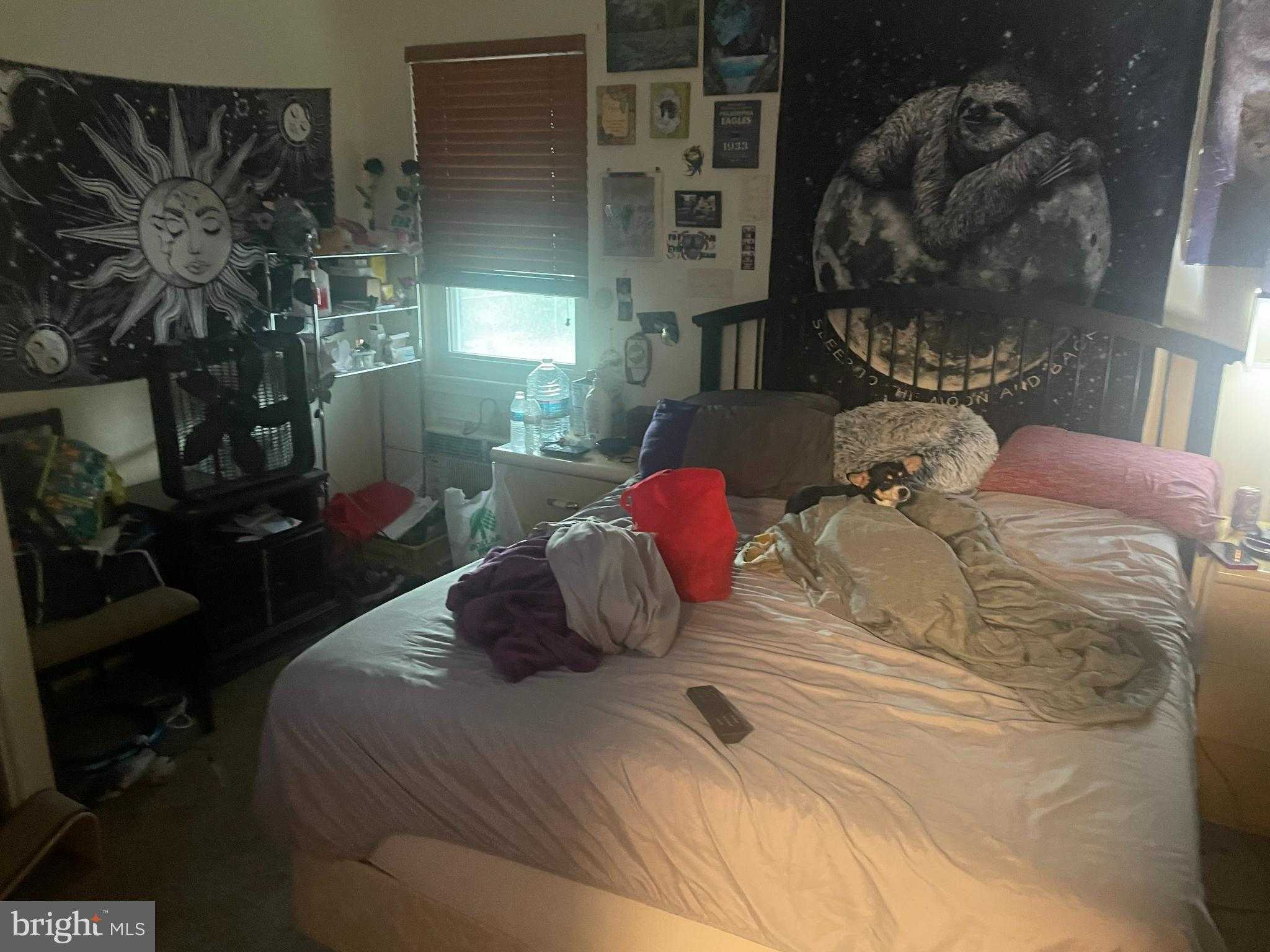 7352 Dungan Rd photo 32