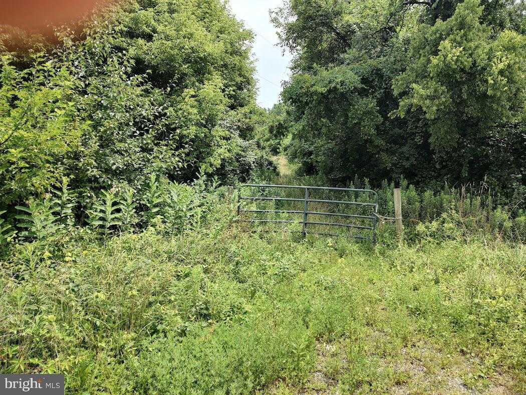 814 E Pulaski Hwy photo 2