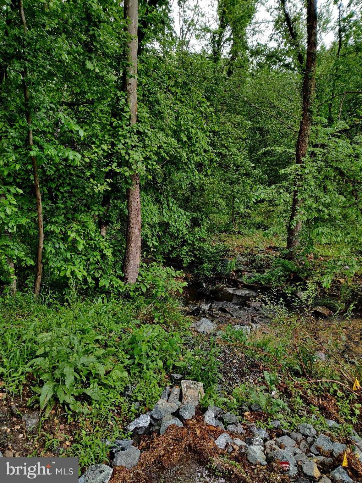 1410 Farmington Rd E photo 5