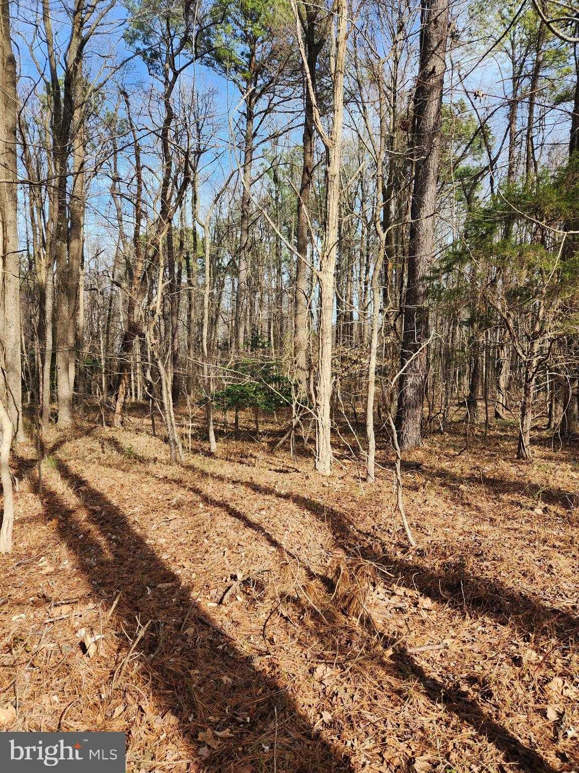 69 Plantation Dr photo 5