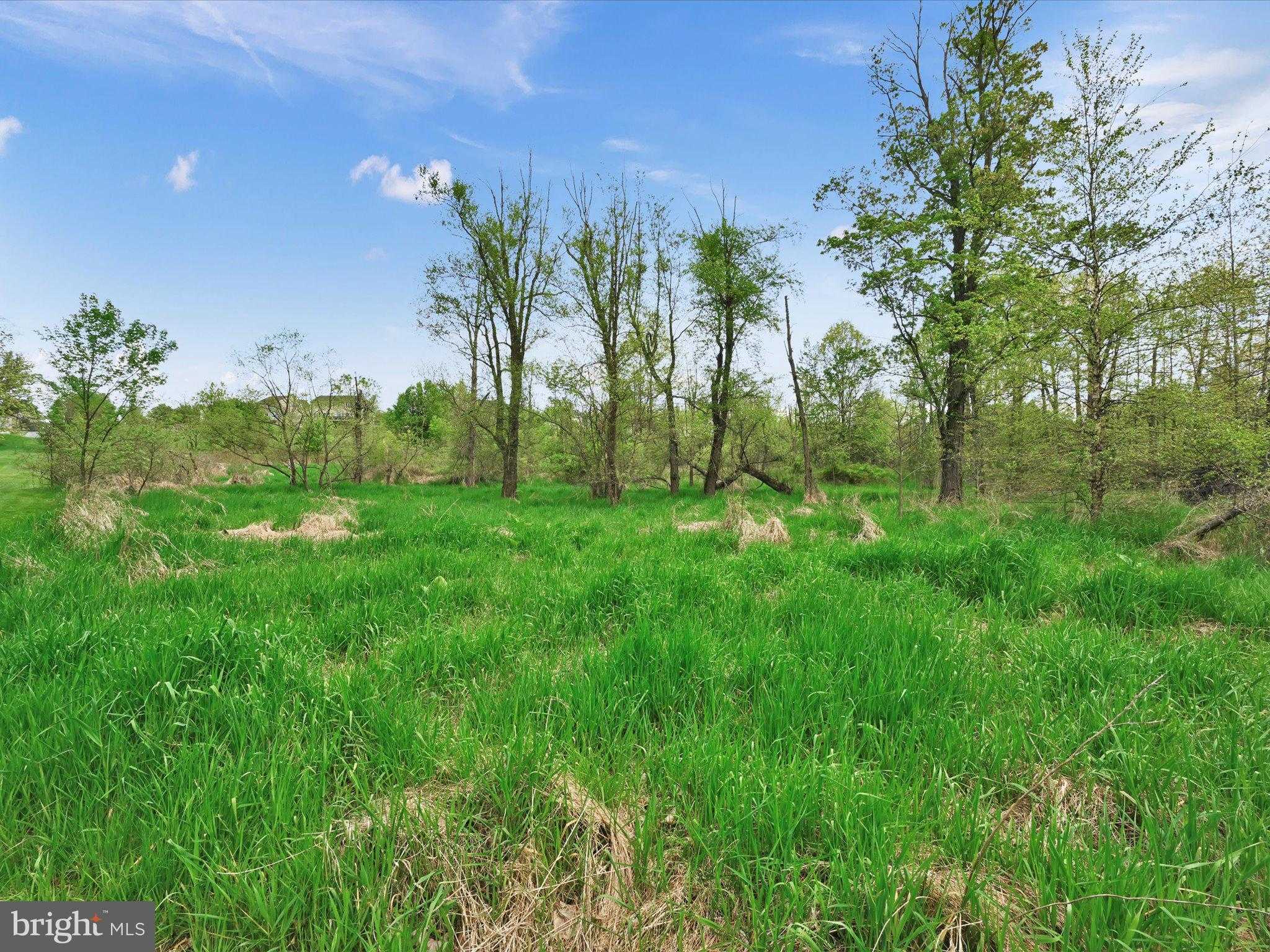 Shepherd St photo 14