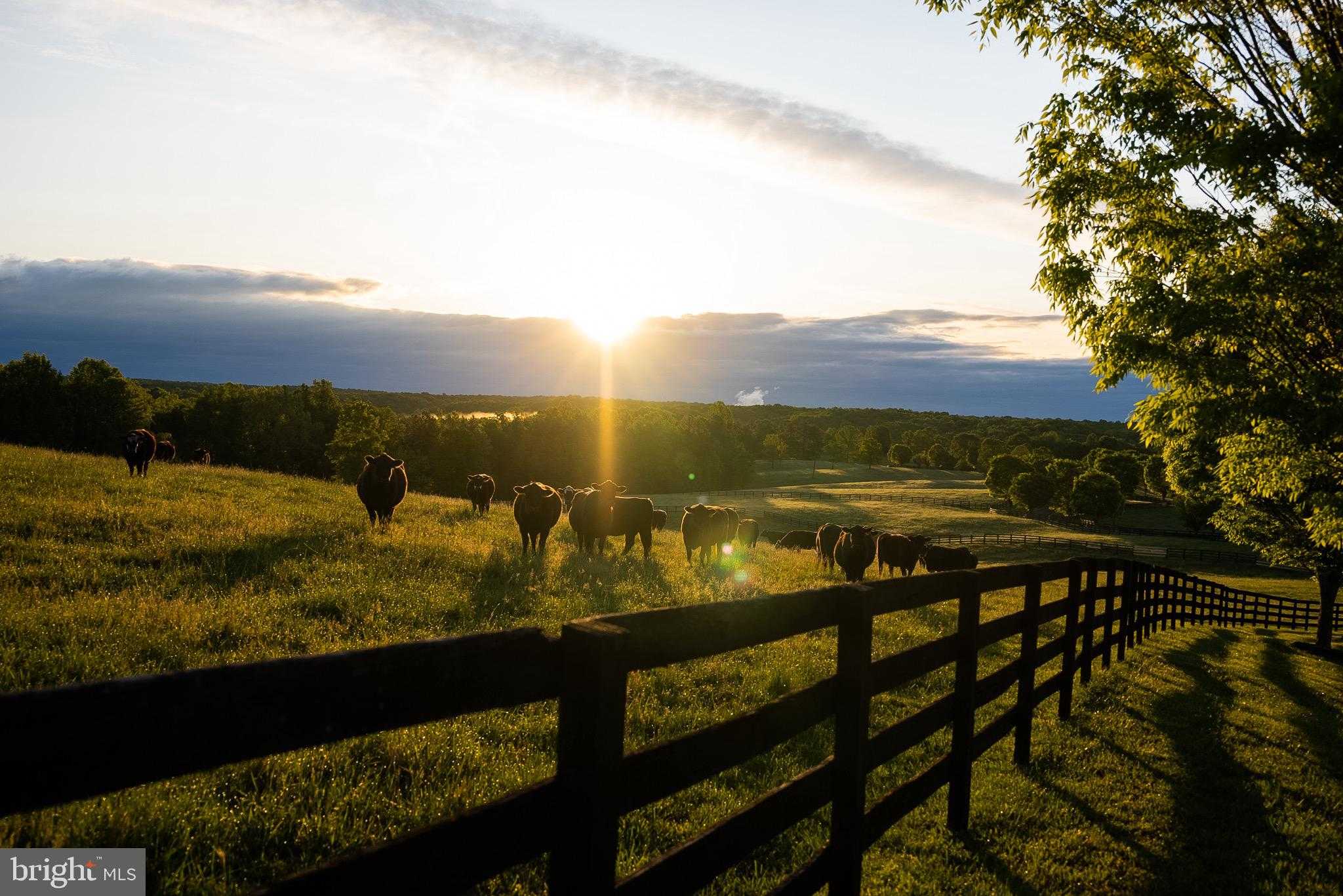 510 Mount Pleasant Farm photo 2