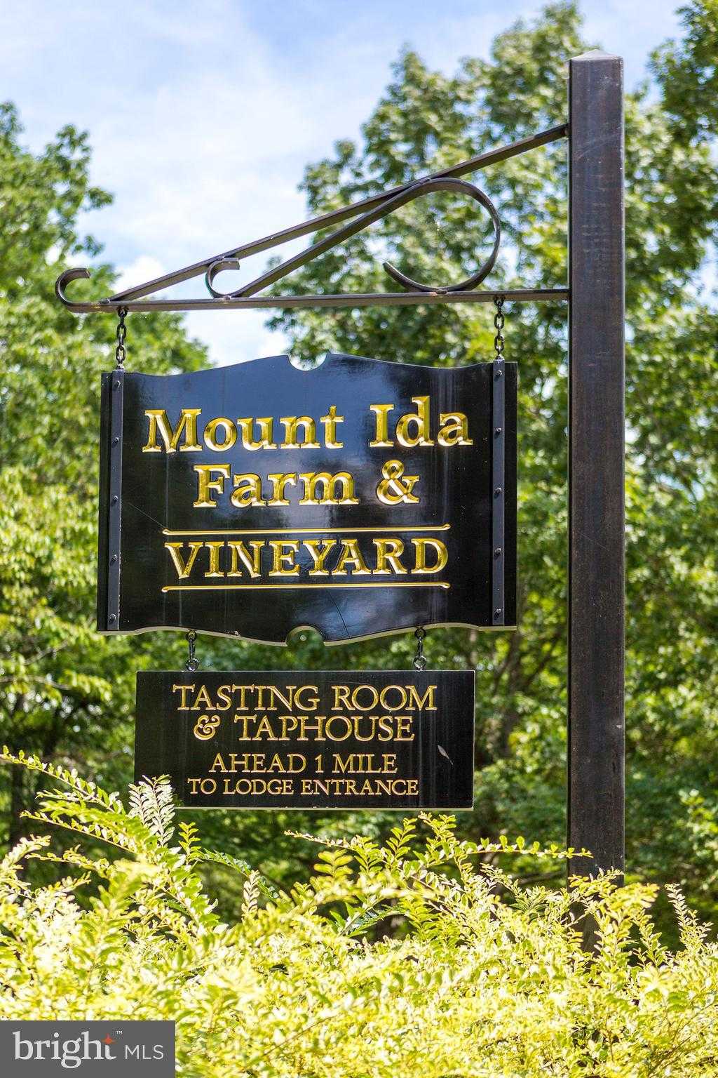 510 Mount Pleasant Farm photo 21