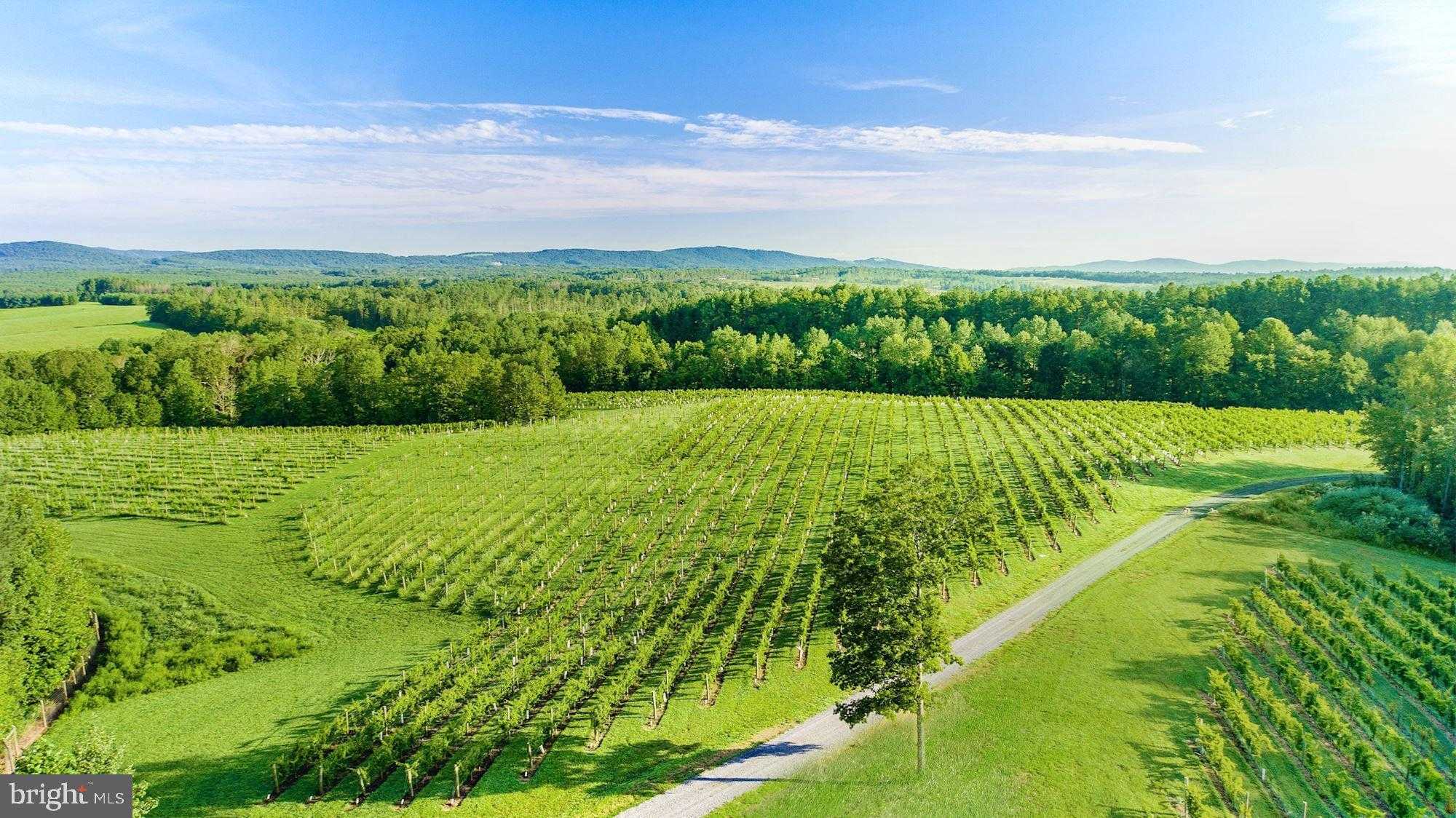 510 Mount Pleasant Farm photo 22