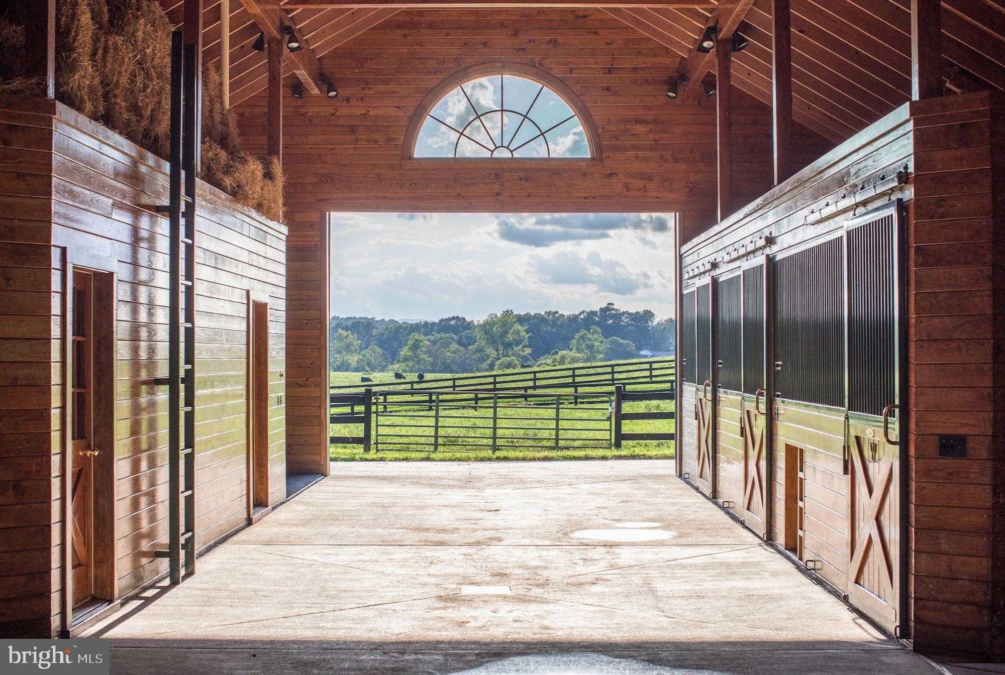 510 Mount Pleasant Farm photo 44