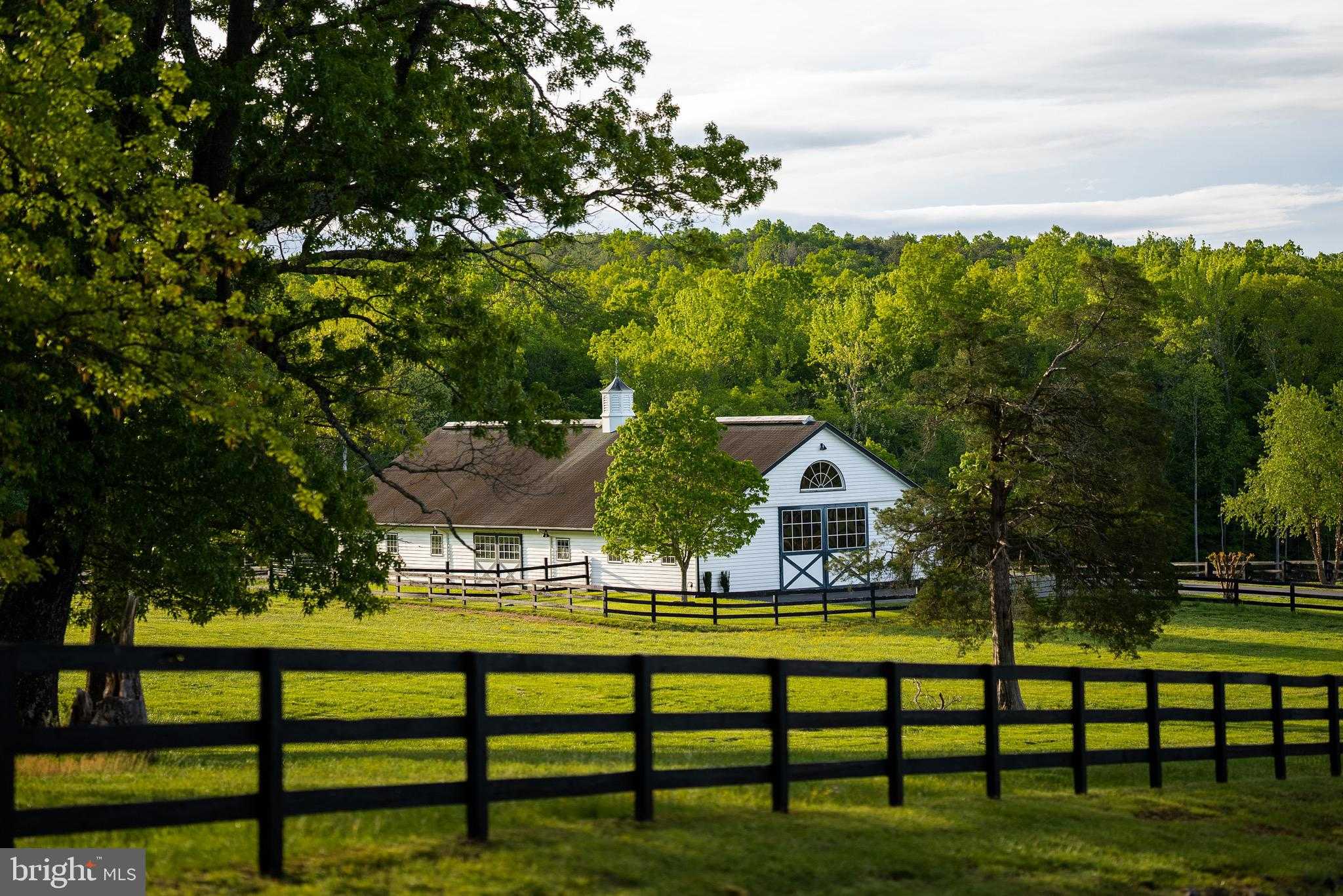 510 Mount Pleasant Farm photo 5