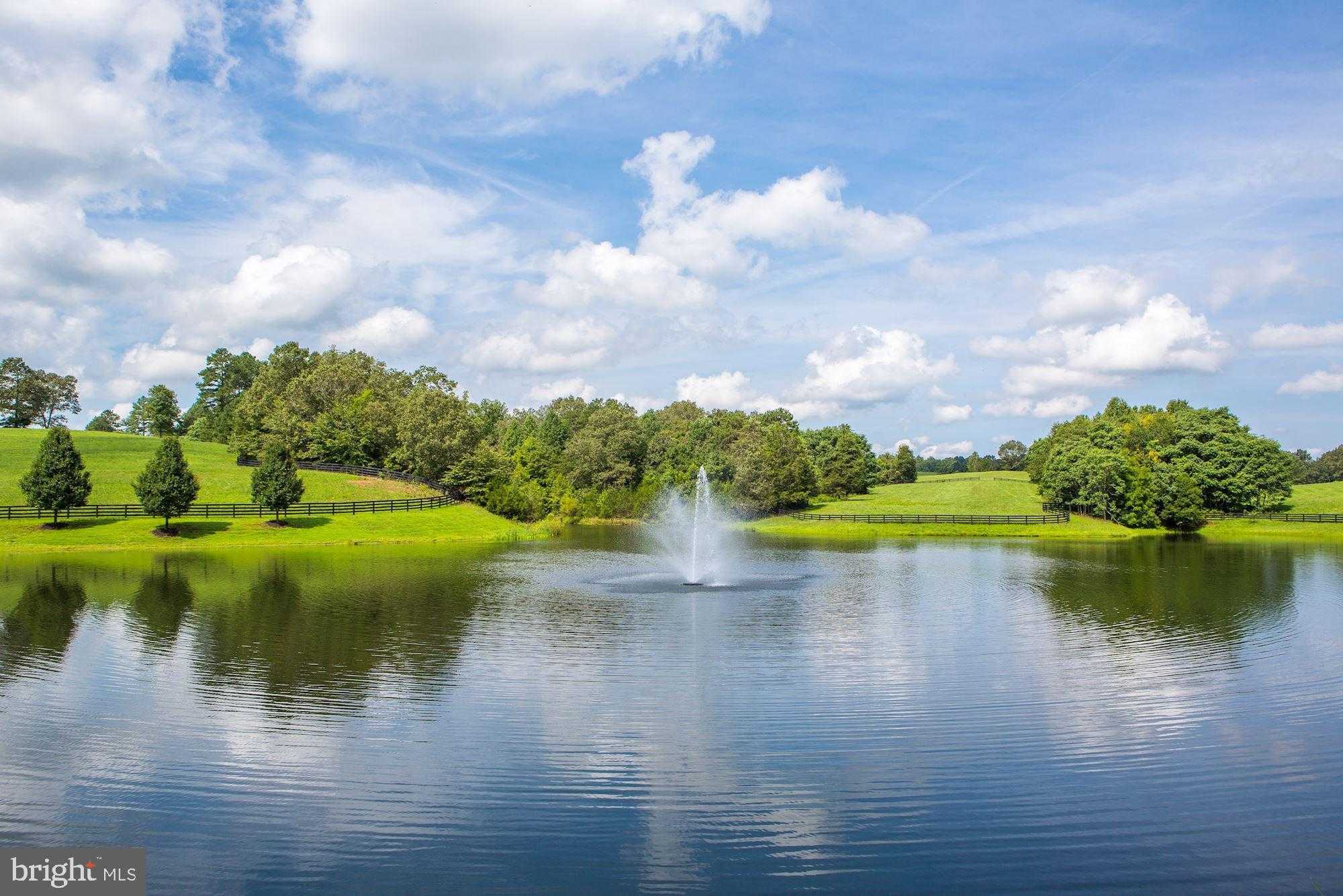 510 Mount Pleasant Farm photo 9