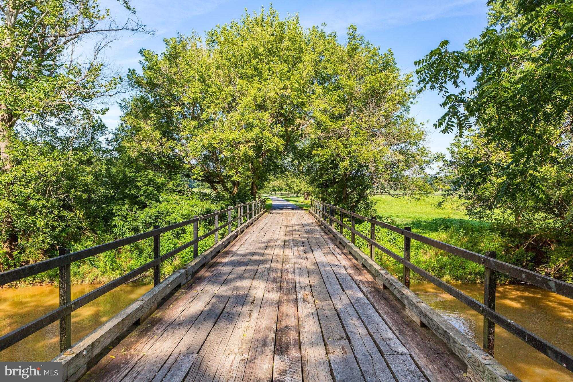 510 Mount Pleasant Farm photo 28