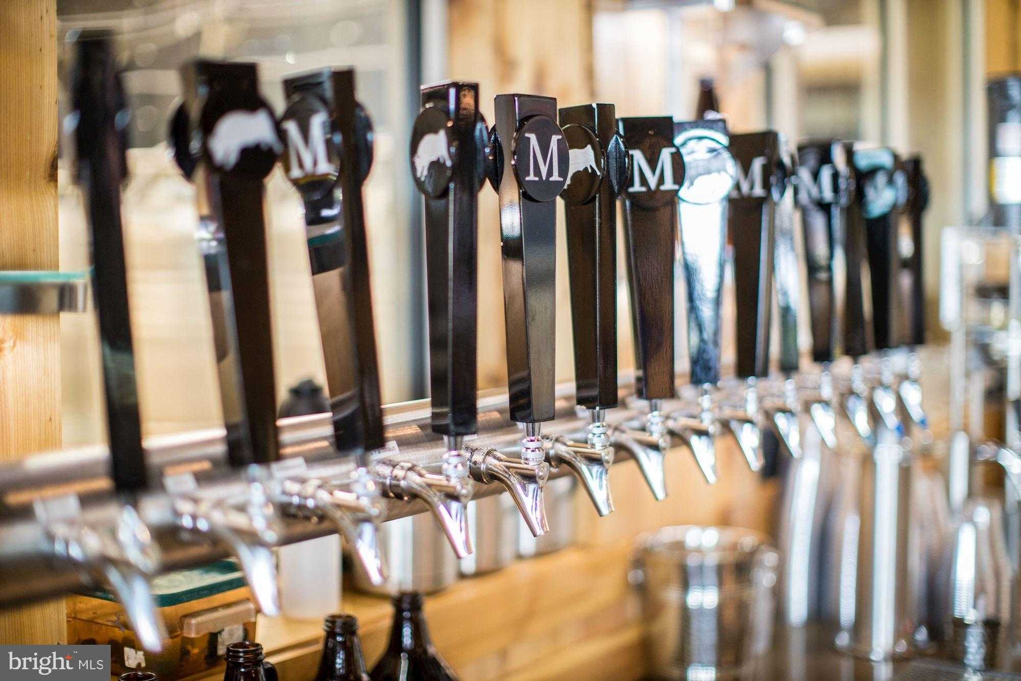 510 Mount Pleasant Farm photo 54