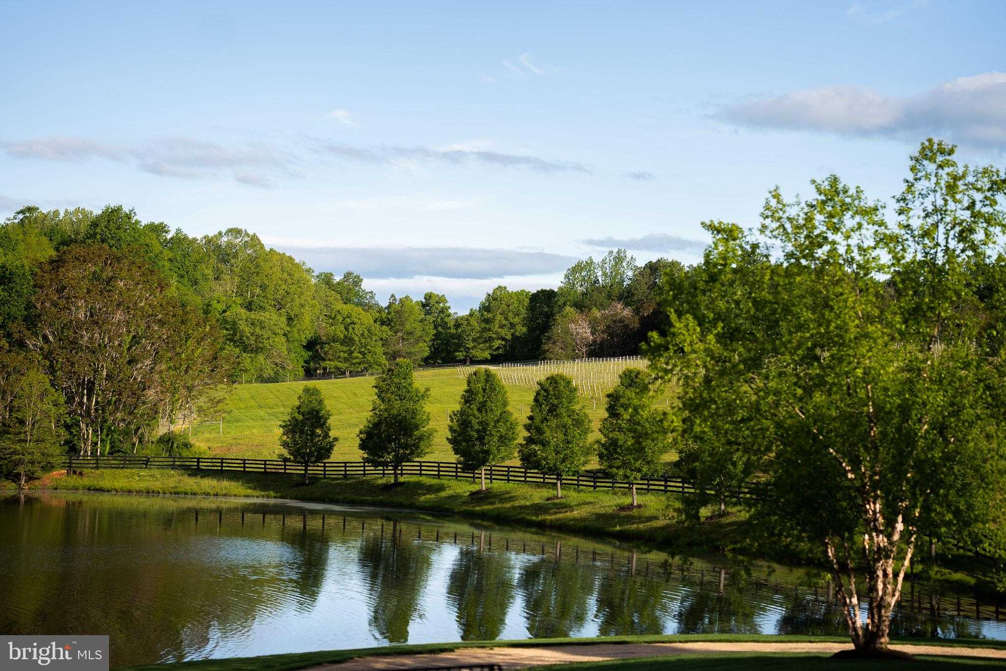 510 Mount Pleasant Farm photo 9