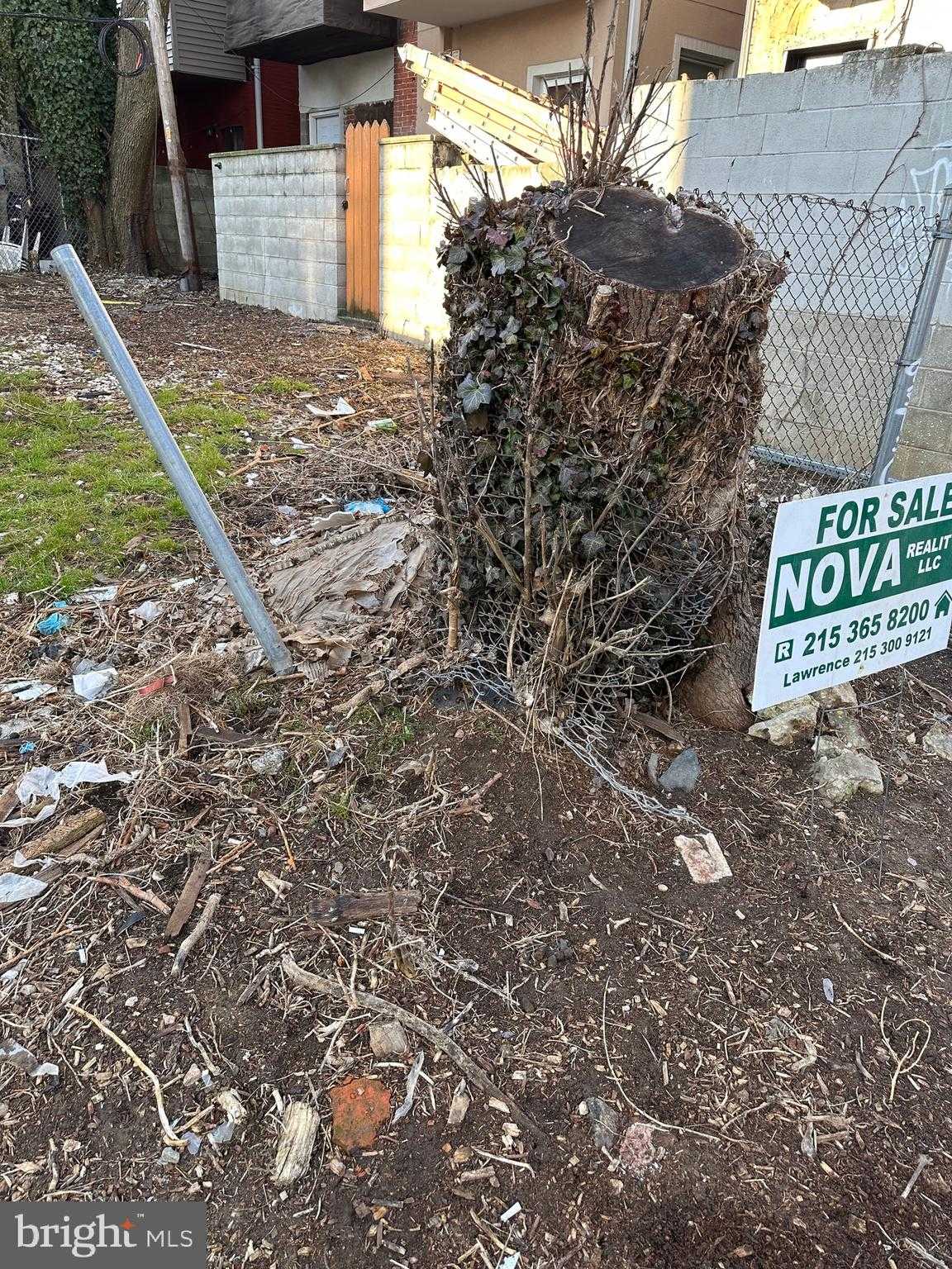 2538 Annin St photo 8