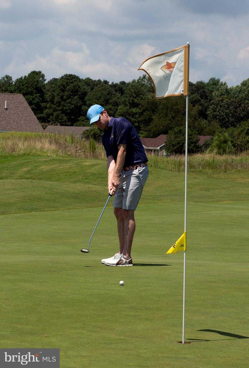 Meridian Dr photo 21