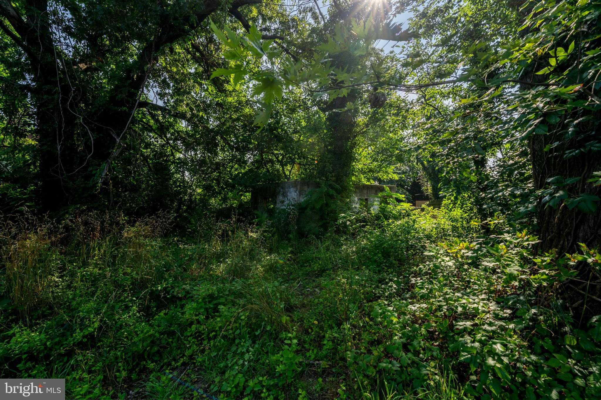 1703 Spence St photo 8