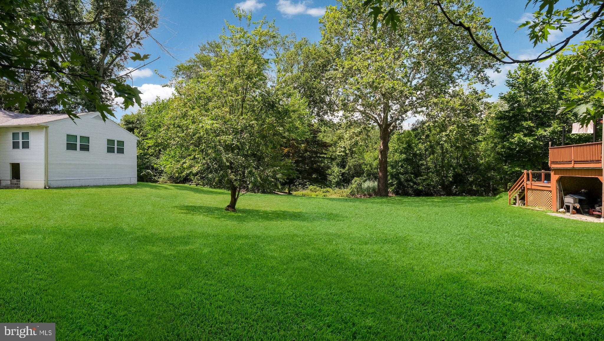 1813 Manor Ave photo 4