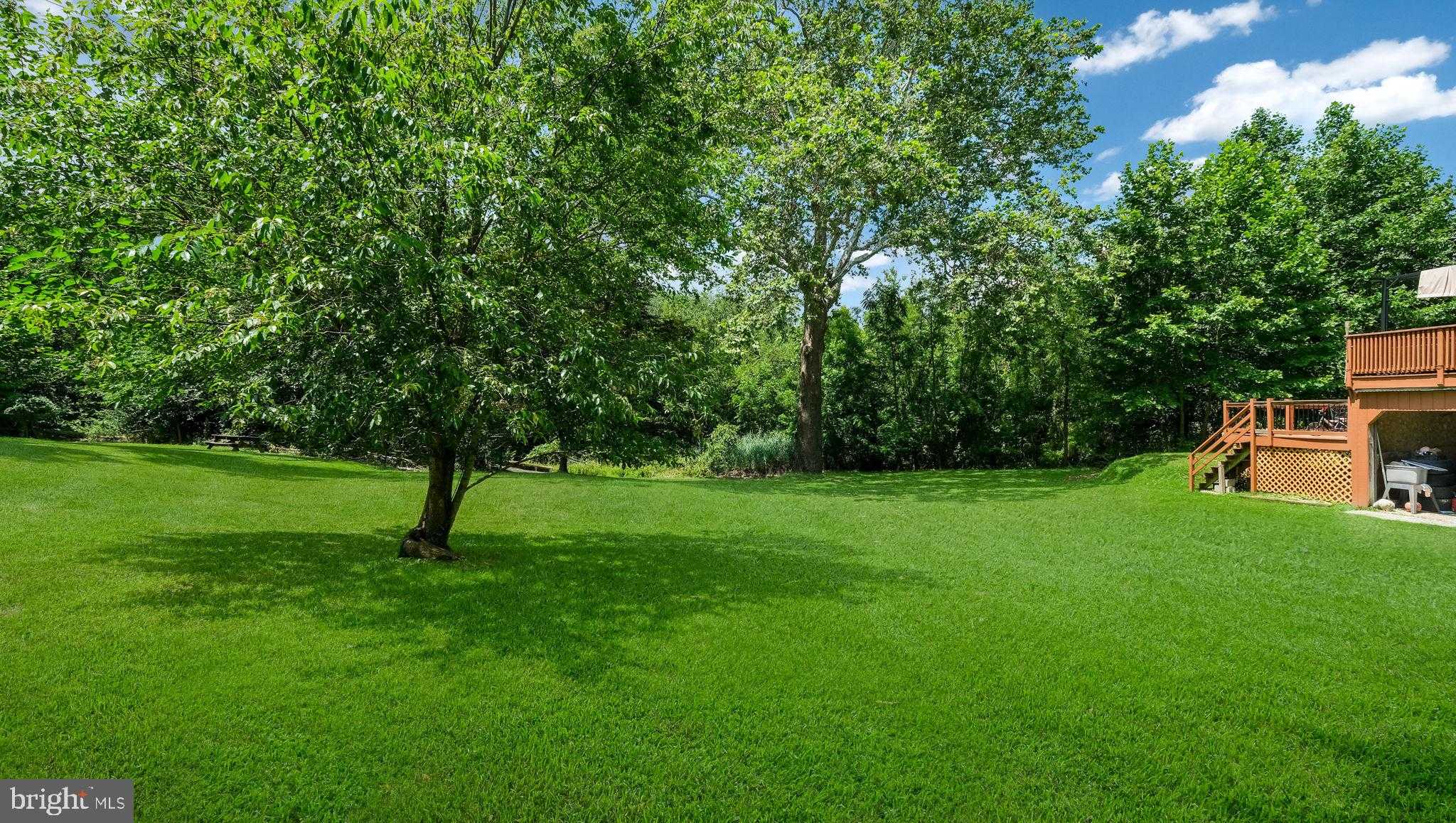 1813 Manor Ave photo 7