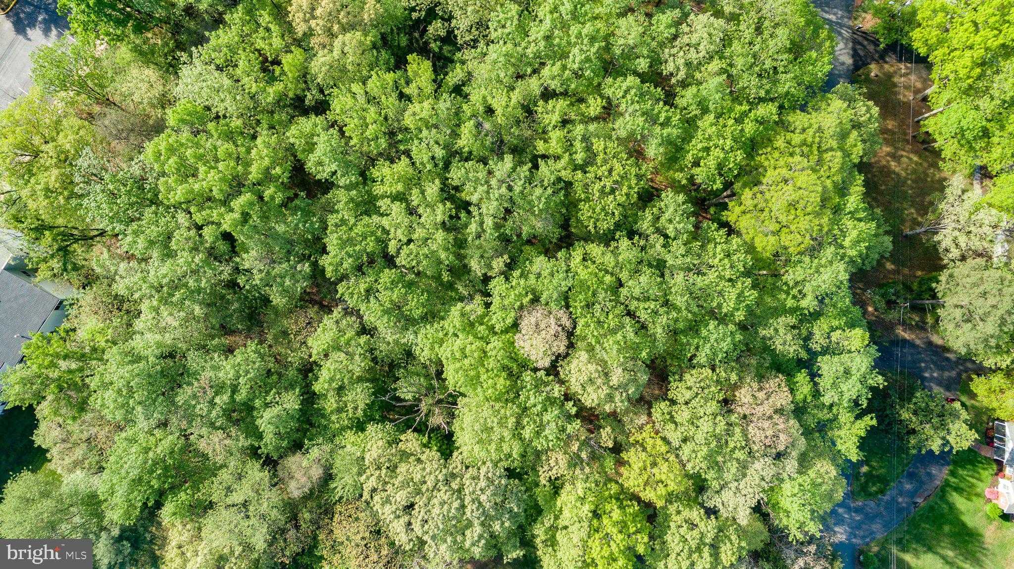 104 Goodloe Dr photo 9