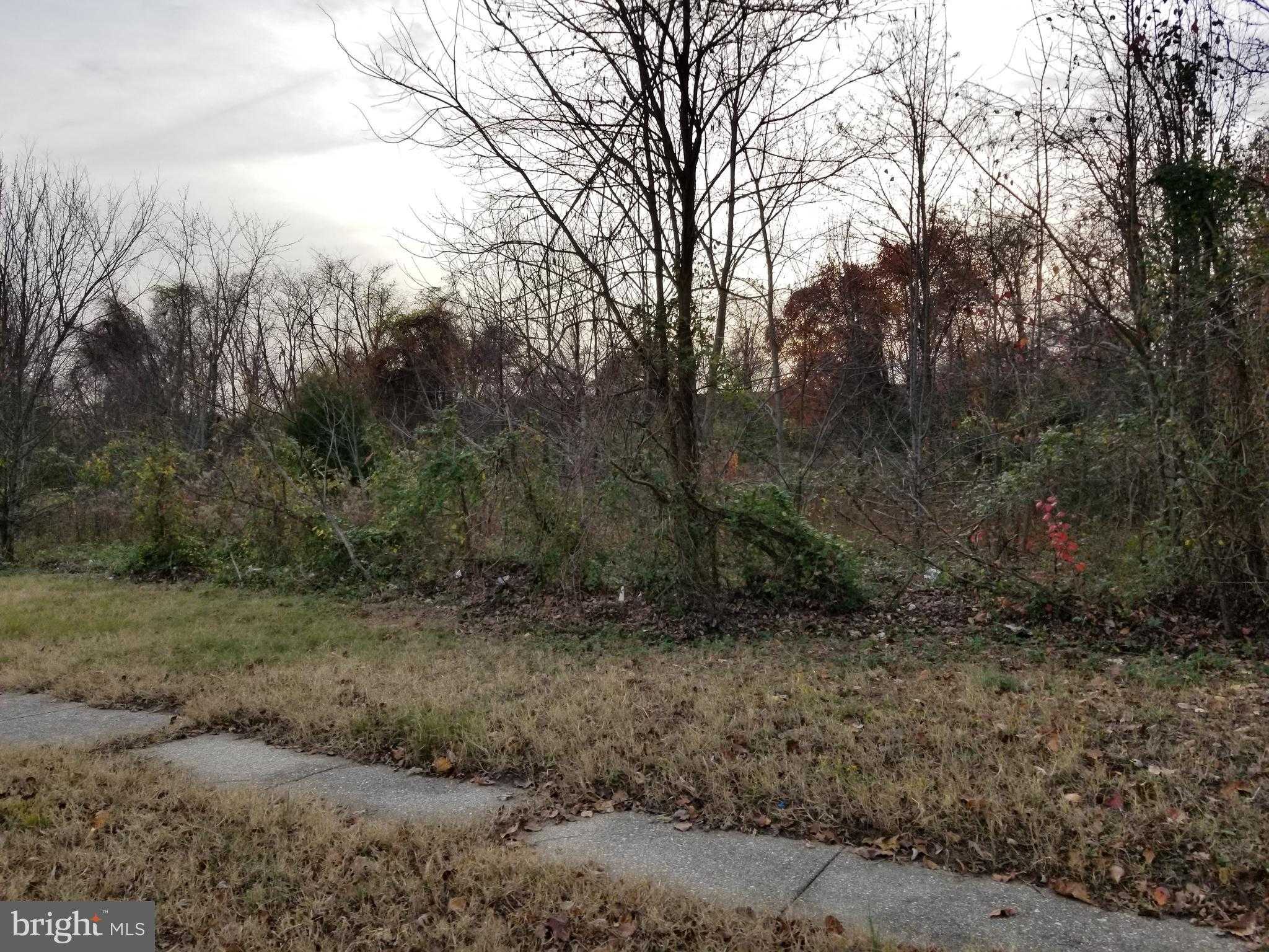 7940 E Park Dr photo 5