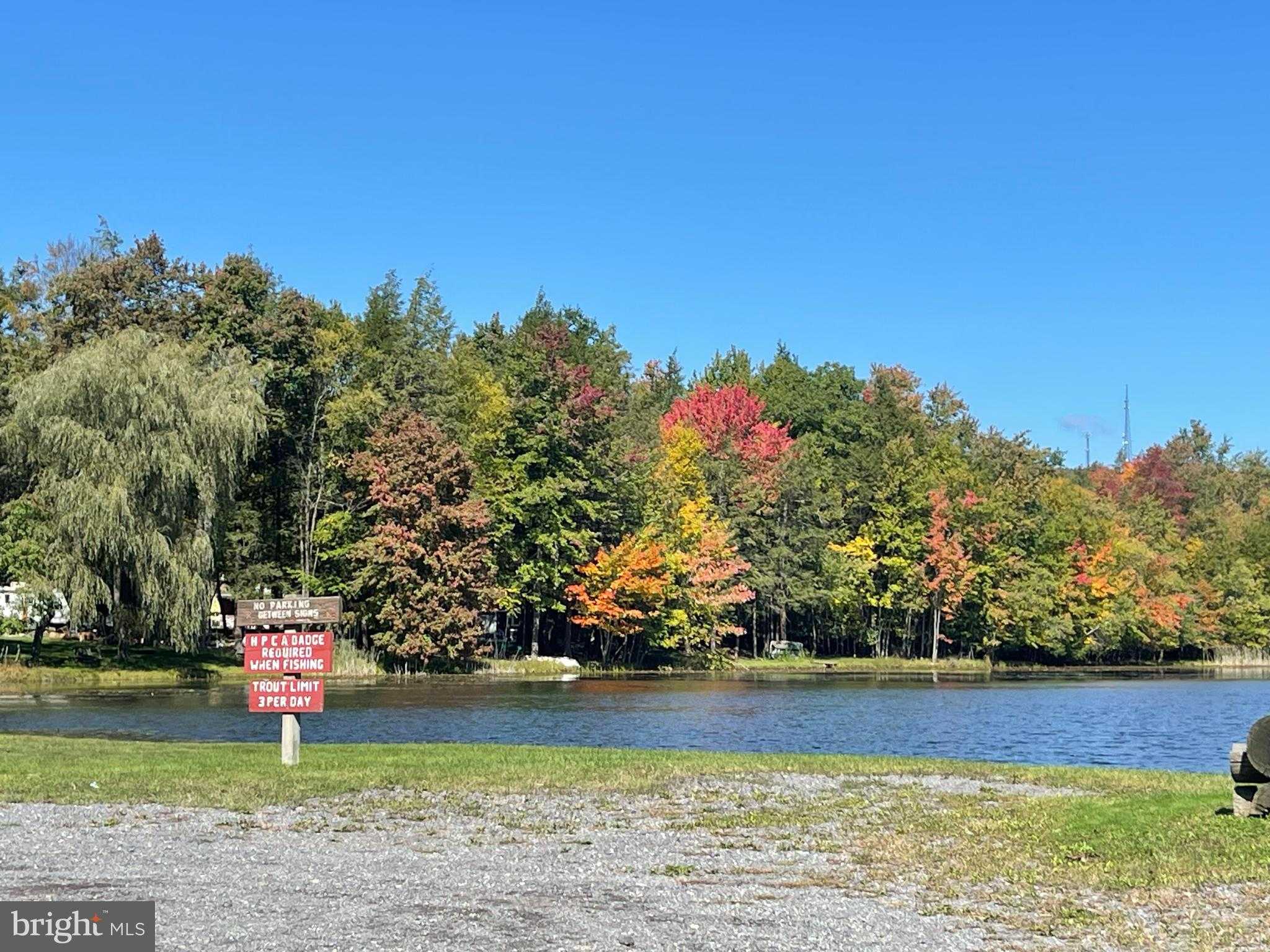 Breezewood Dr photo 7