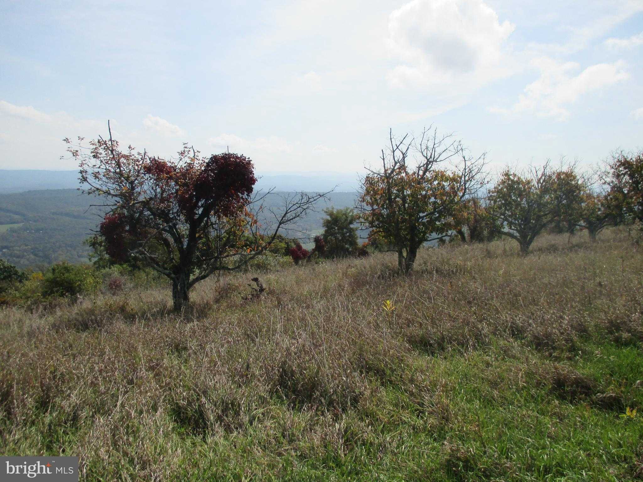 S Mineral St photo 3