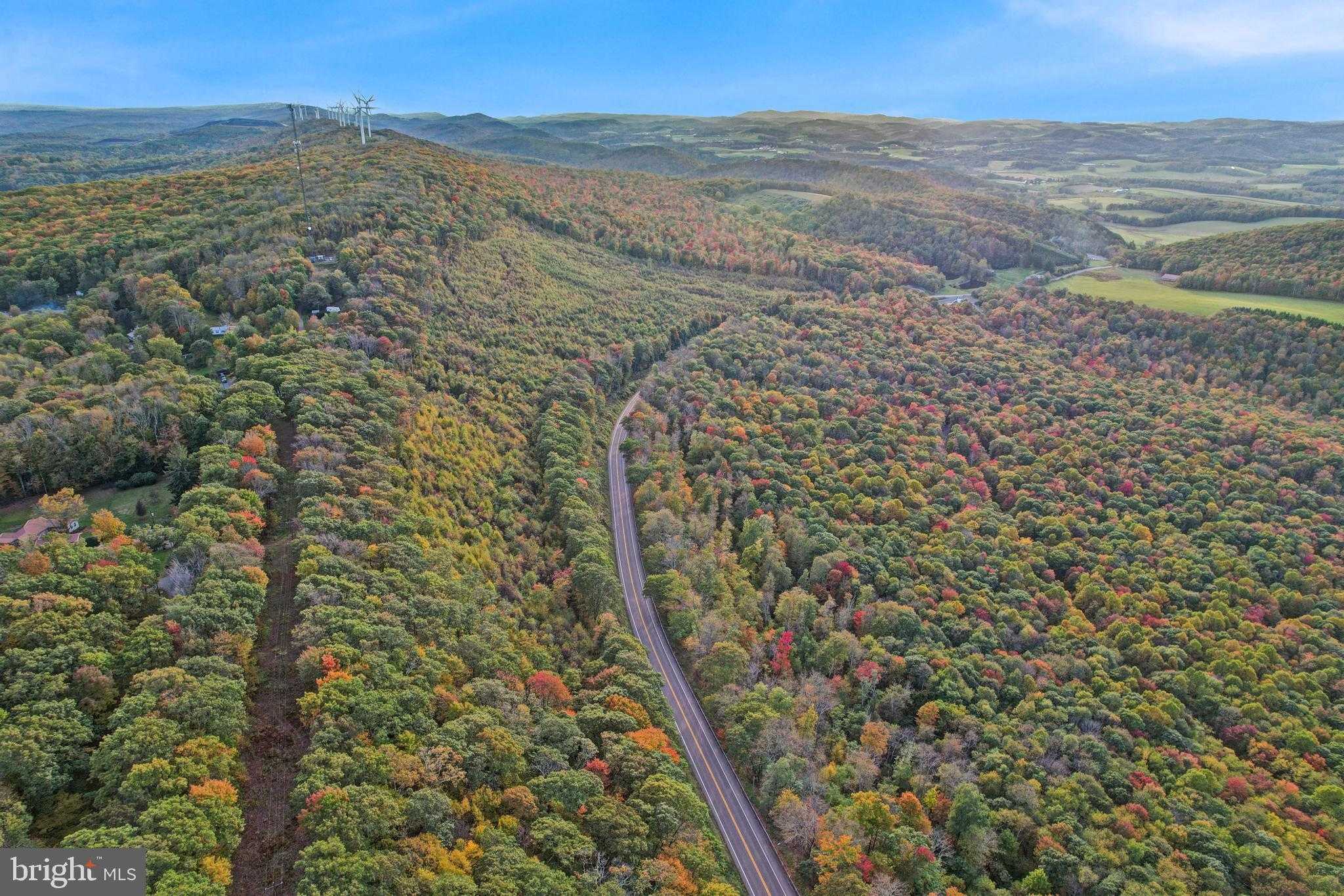 21550 Garrett Hwy photo 42