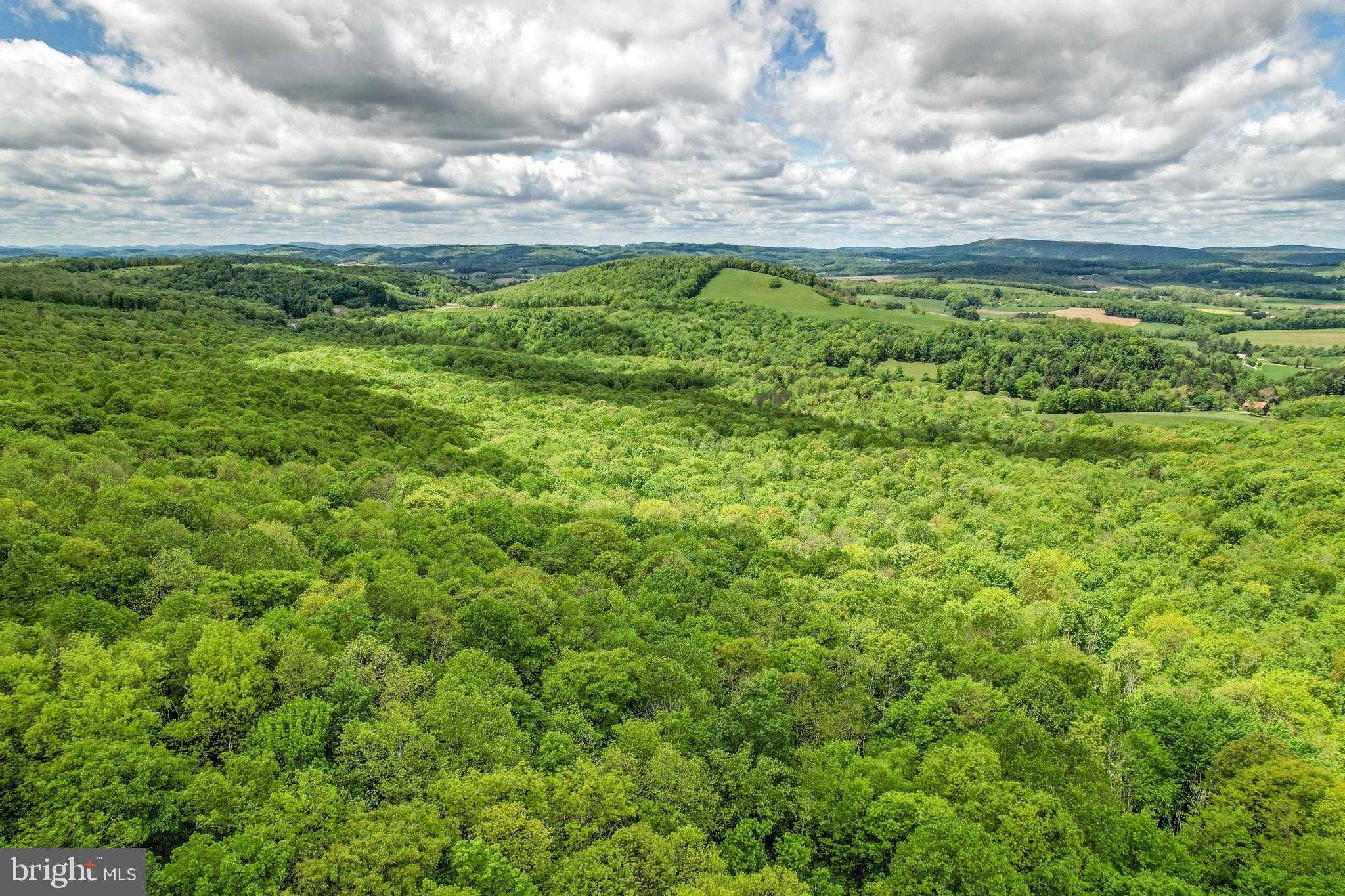 21550 Garrett Hwy photo 7