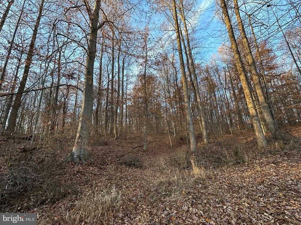 8184 Fox Groves Rd photo 30