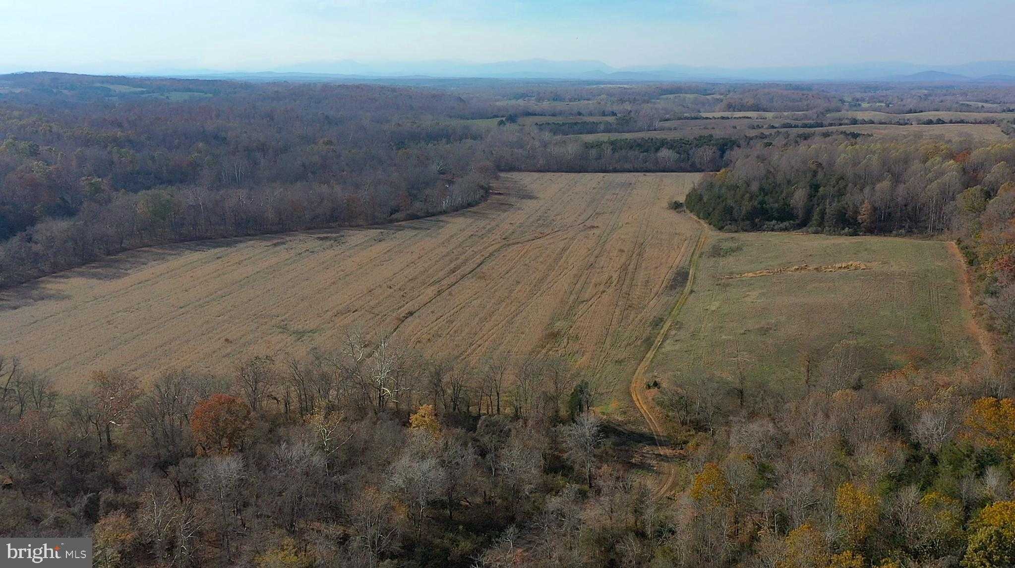 8184 Fox Groves Rd photo 9