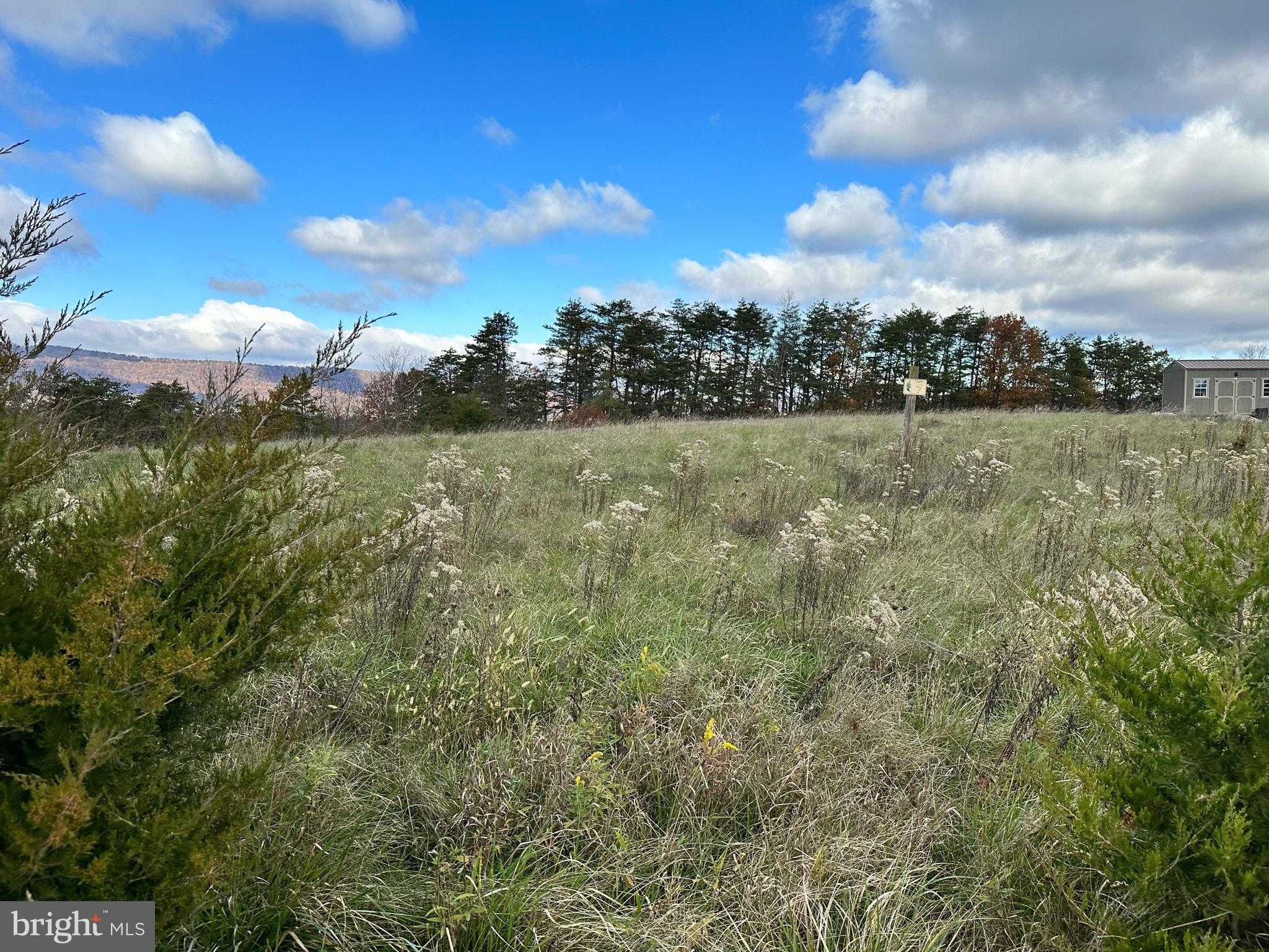 135 Markwood Dr photo 2