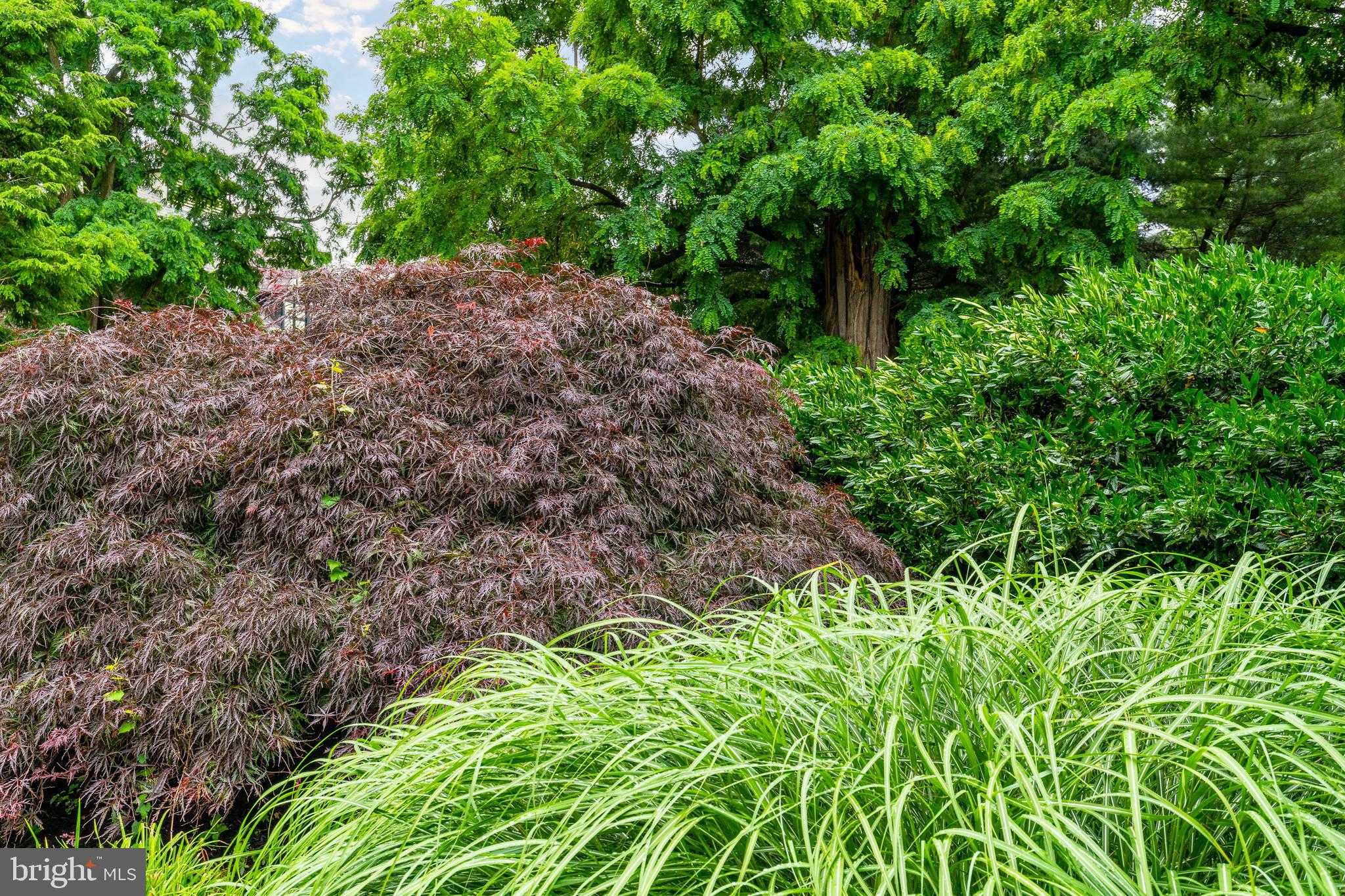 8101 Verree Rd photo 14