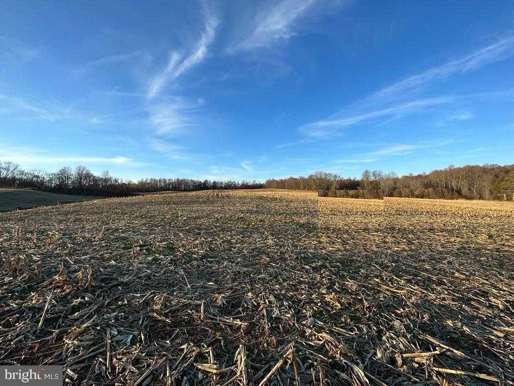 8184 Fox Groves Rd photo 29