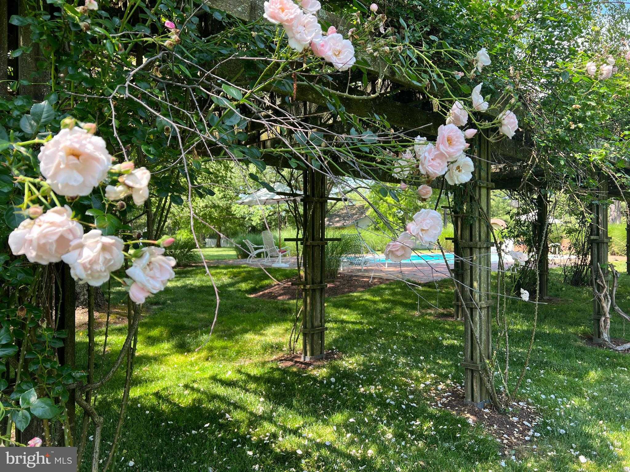 27295 Southside Island Creek Rd photo 59