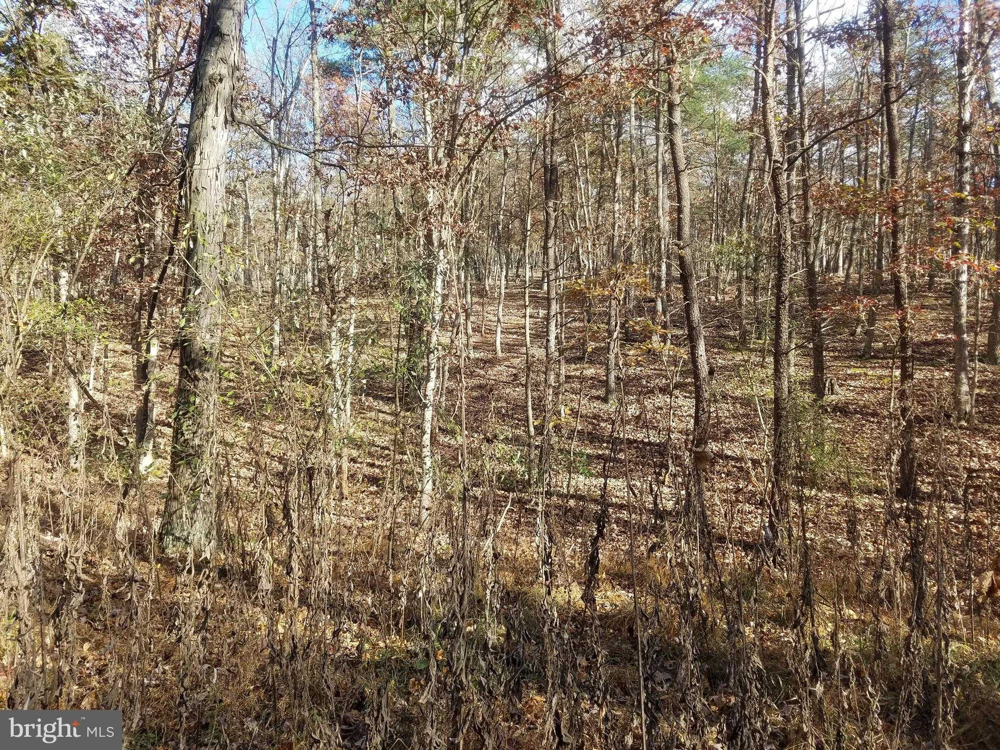 Hampshire St photo 6