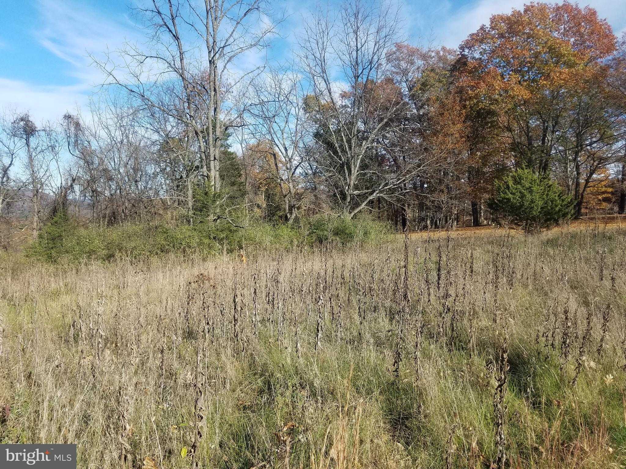 Hampshire St photo 2