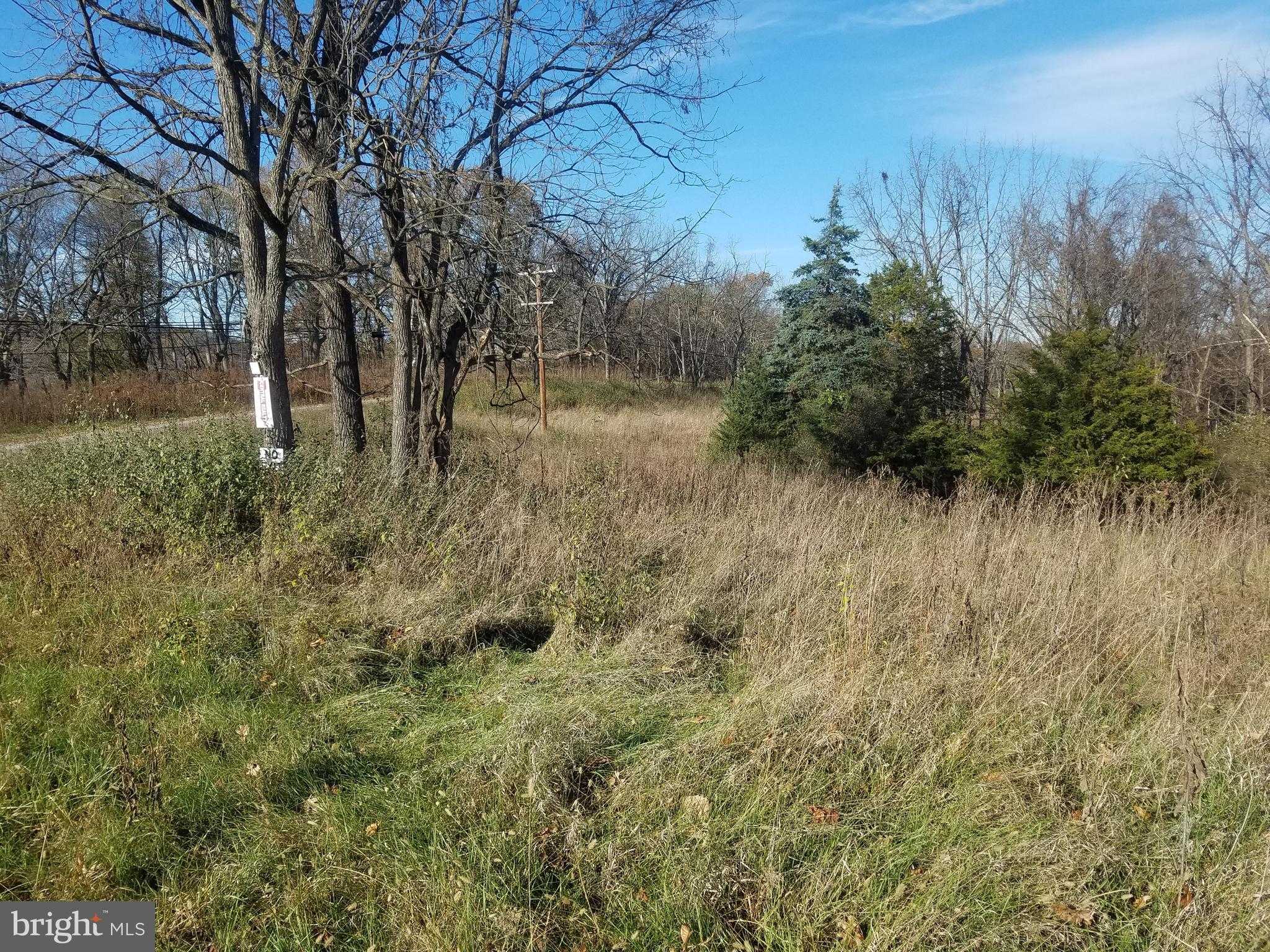 Hampshire St photo 4