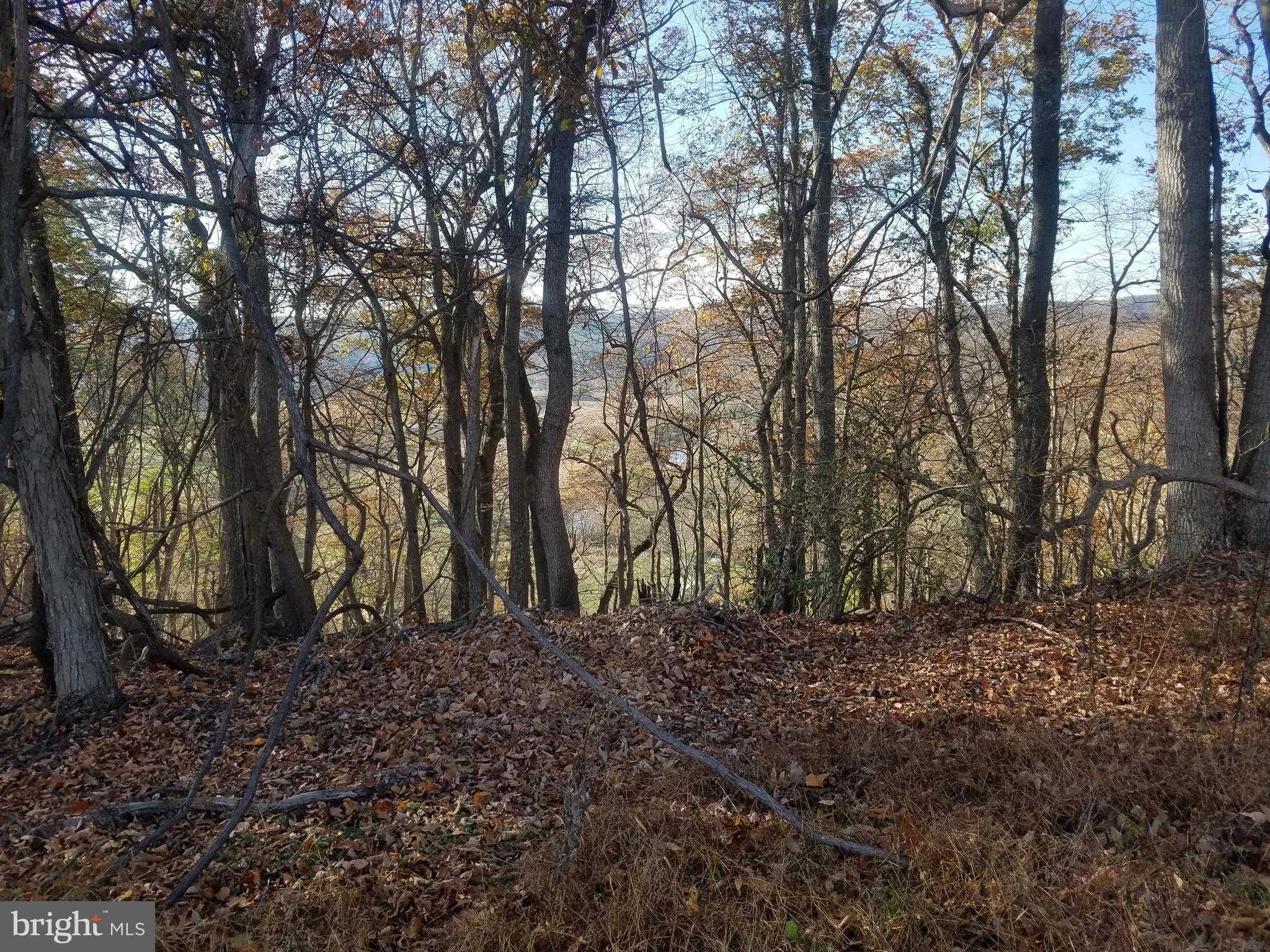 Hampshire St photo 5