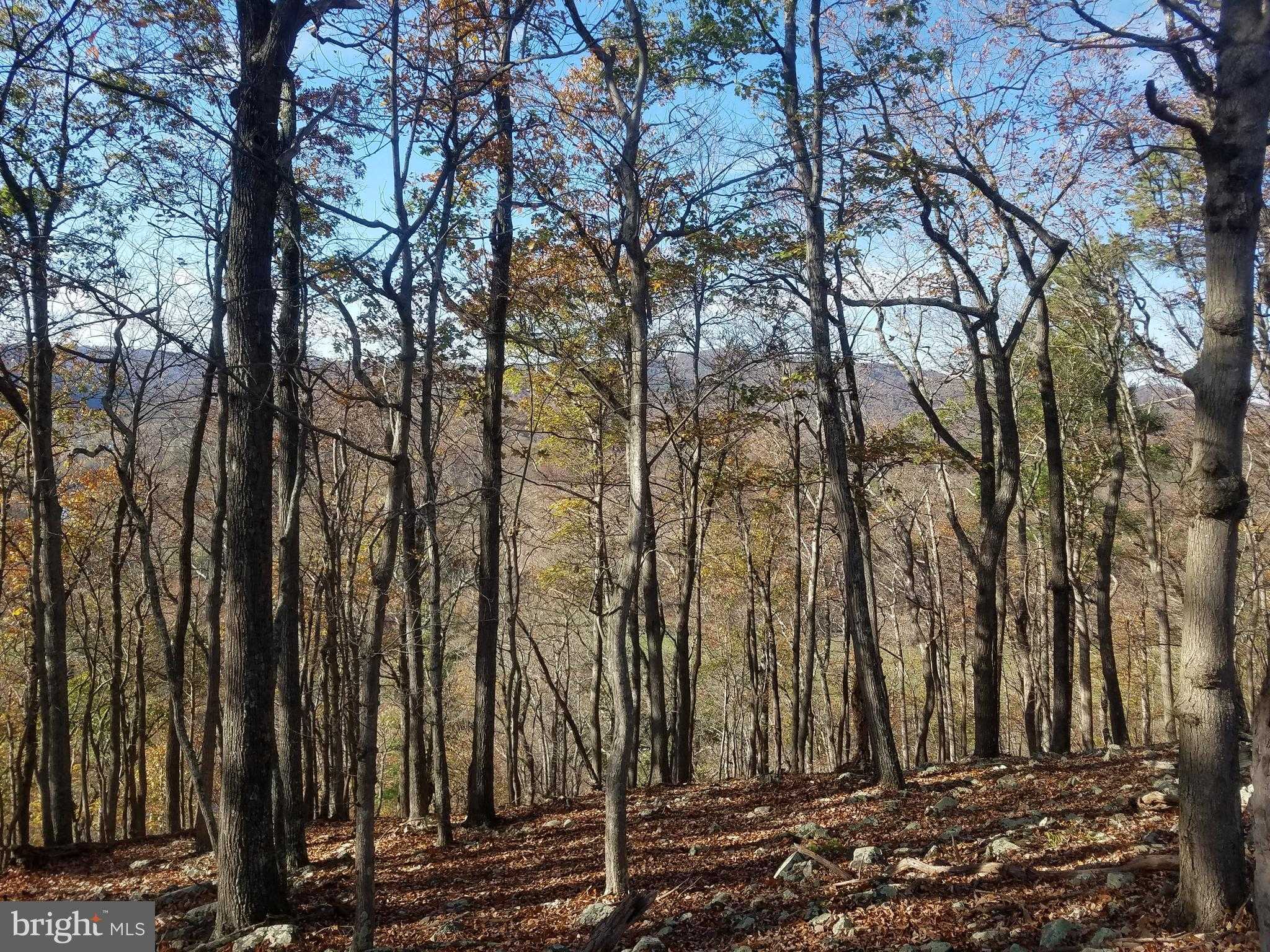 Hampshire St photo 7