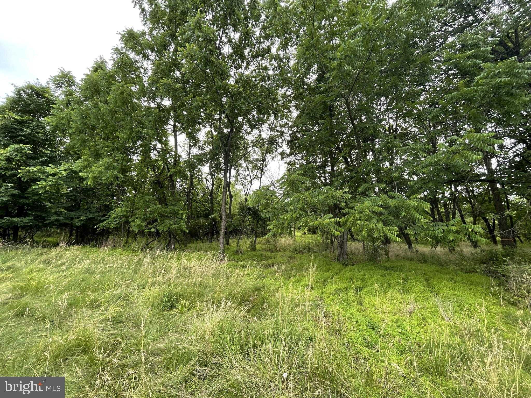 288 Buchert Rd photo 14