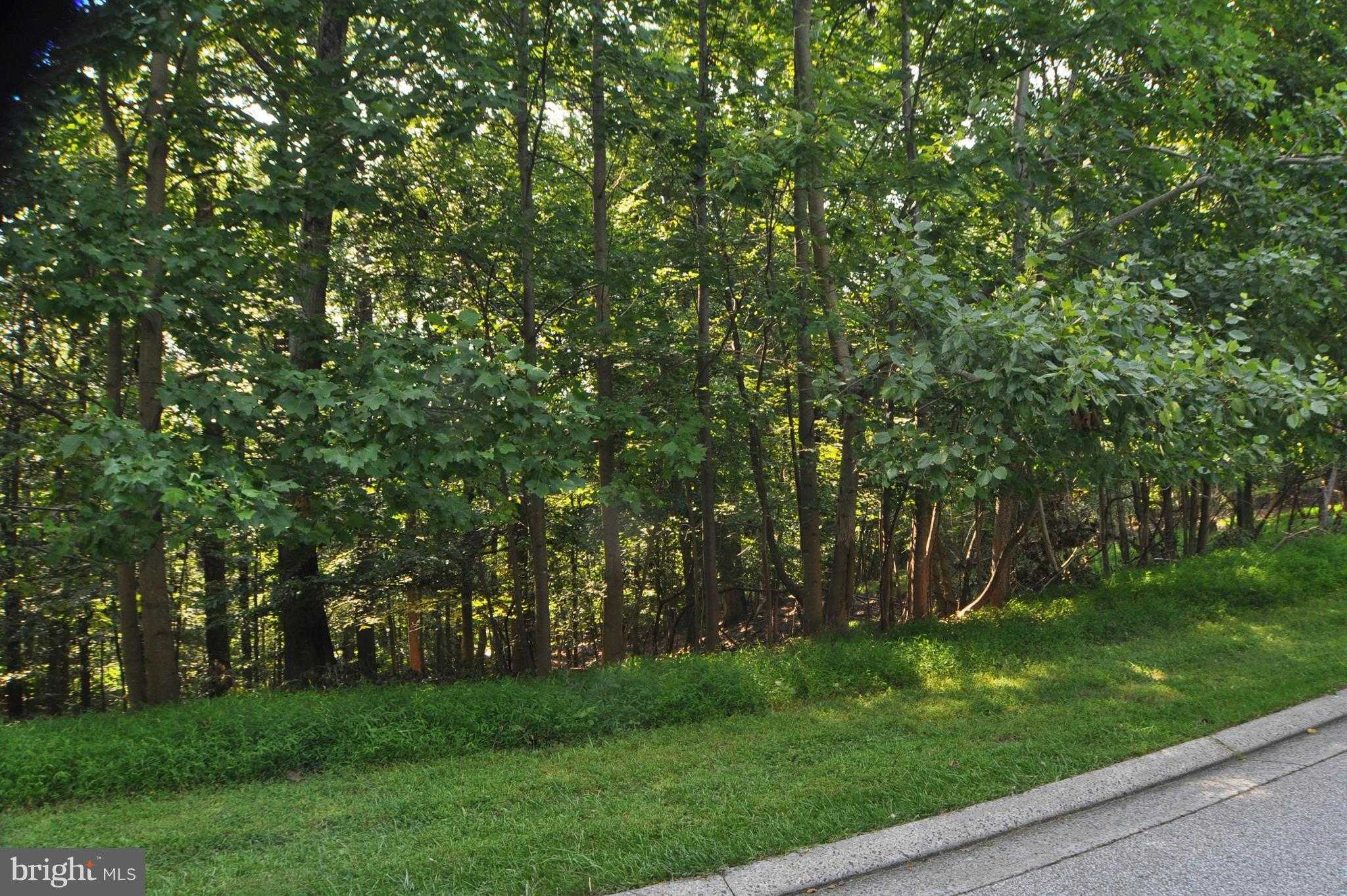 4007 Cloverland Dr photo 9