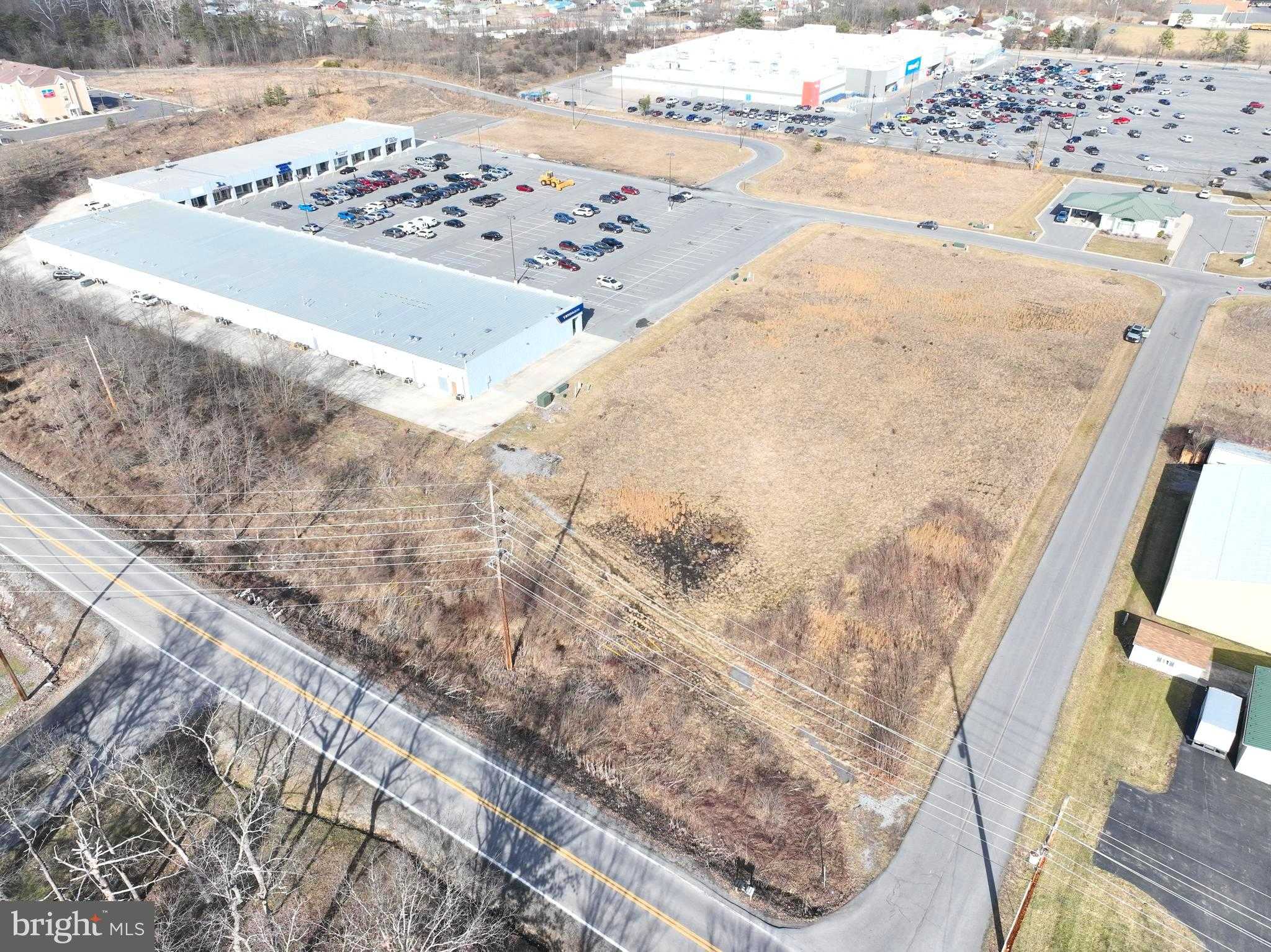 Greyhound Ave photo 15