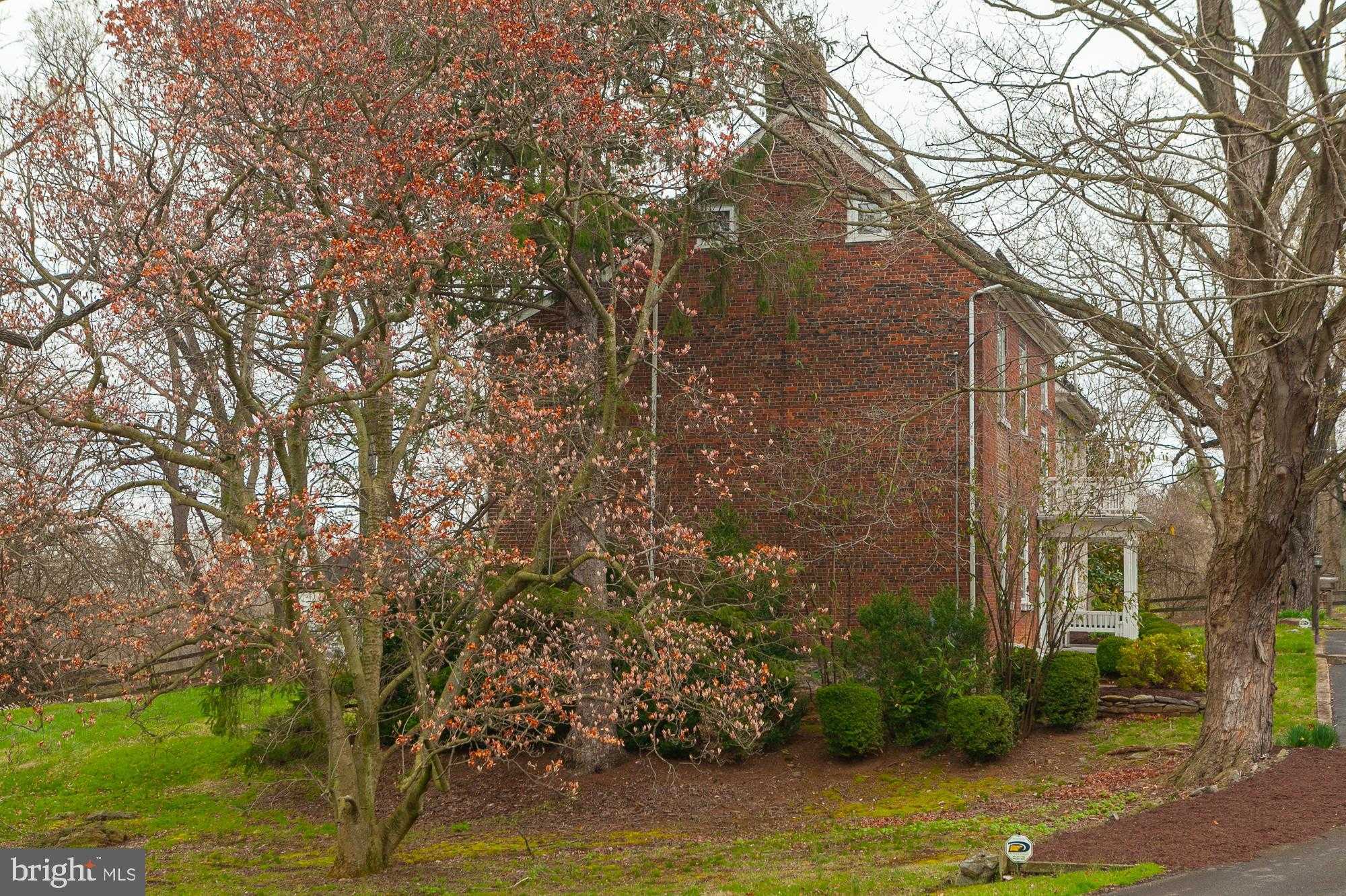 123 Old Mill Rd photo 7