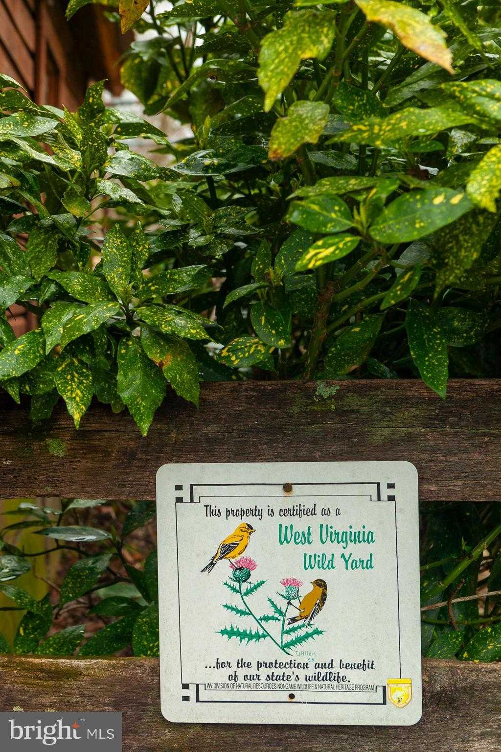 123 Old Mill Rd photo 71