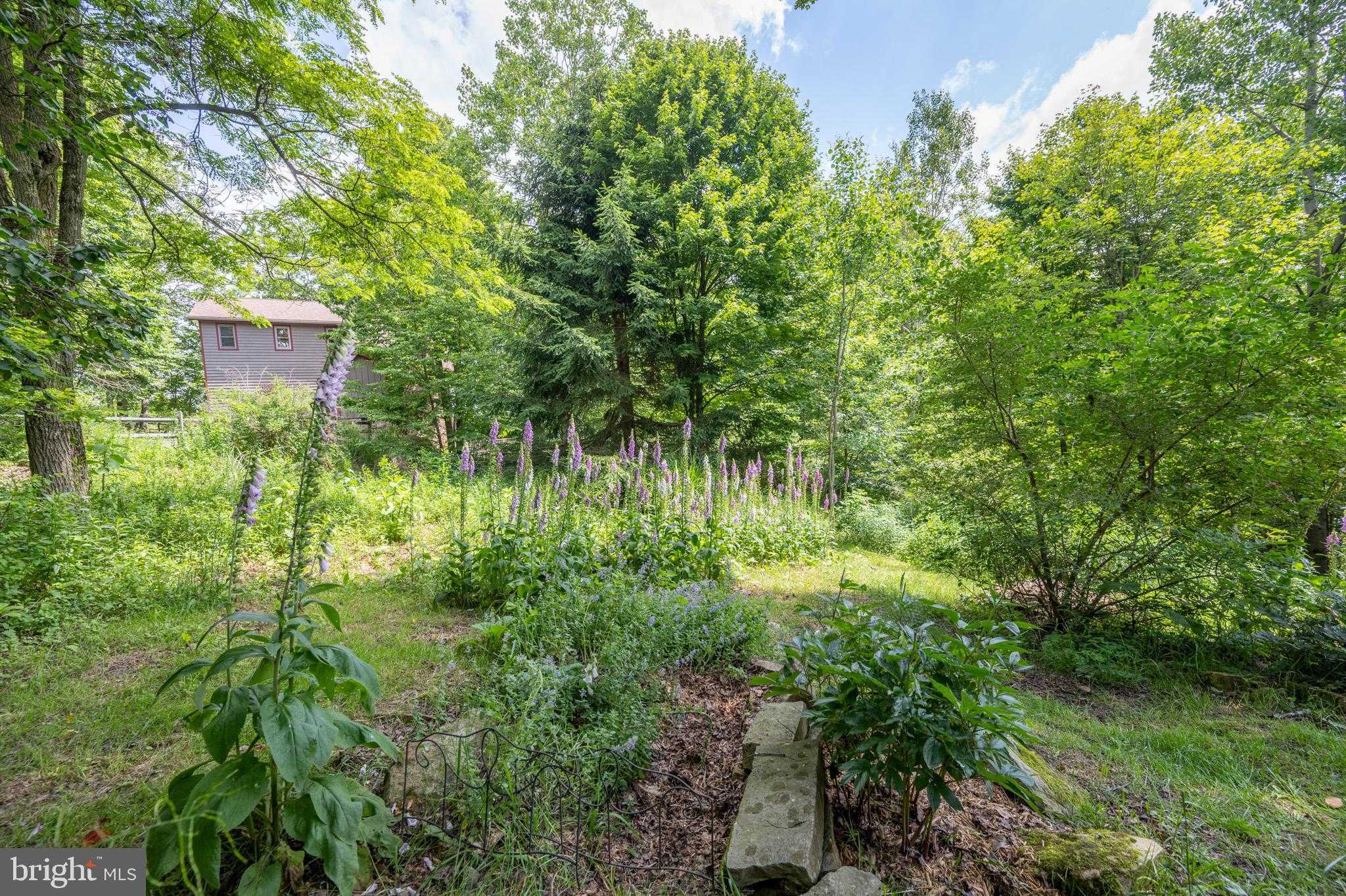 188 Highline Dr photo 98